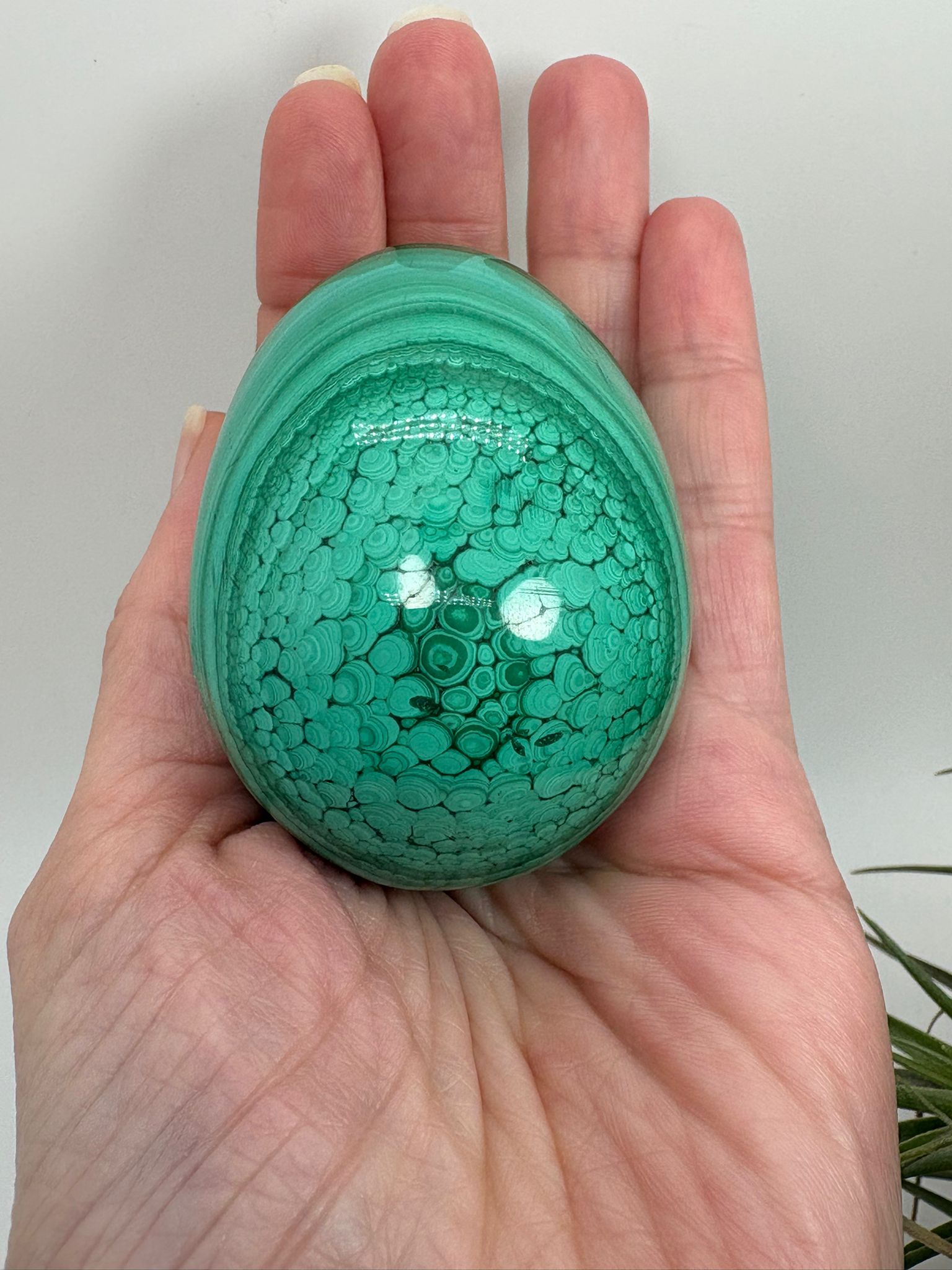 Huevo de malaquita fibrosa pulida con intensos tonos verdes y patrón natural único. Piedra de protección, transformación y energía profunda.