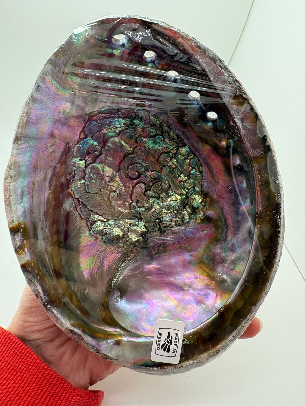 Concha de abalon natural de México con reflejos iridiscentes en tonos verdes, violetas y nacarados utilizada para rituales de limpieza energética