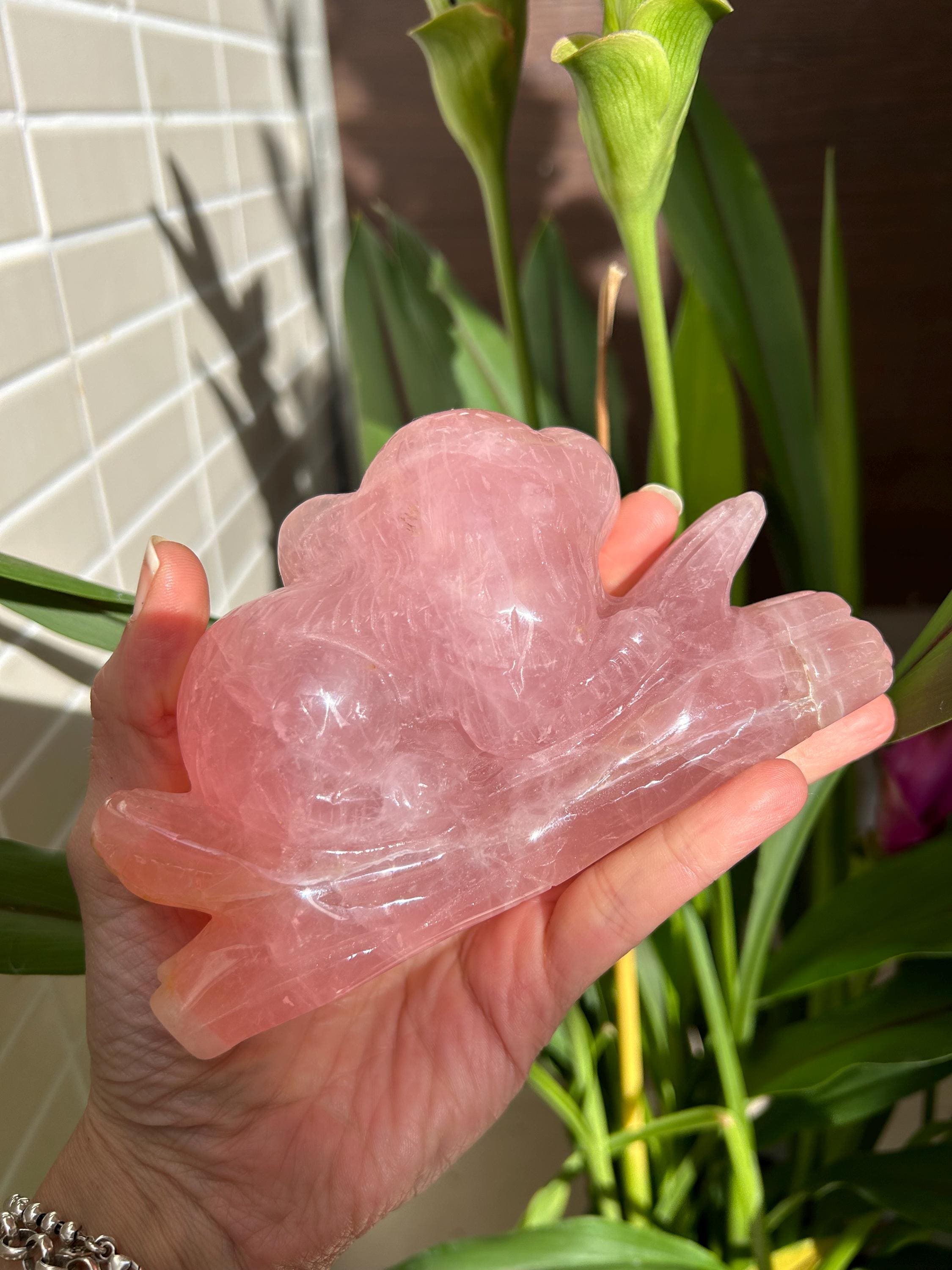 Precioso koala de cuarzo rosa de gran calidad. 
Tallado a mano con mucho detalle.

Se enviará la misma pieza.

Ideal oara decorar tu hogar y a la misma vez armonizar tu hogar, con las propiedades del cuarzo rosa.

El cuarzo rosa se a escogido de gran calidad y color. En alguna zona lleva alguna inclusión de hierro. Que le da un toque natural al cuarzo.

Tamaño 13 por 7,5 centímetros.

Peso 518 gramos.

Envío con número de seguimiento.