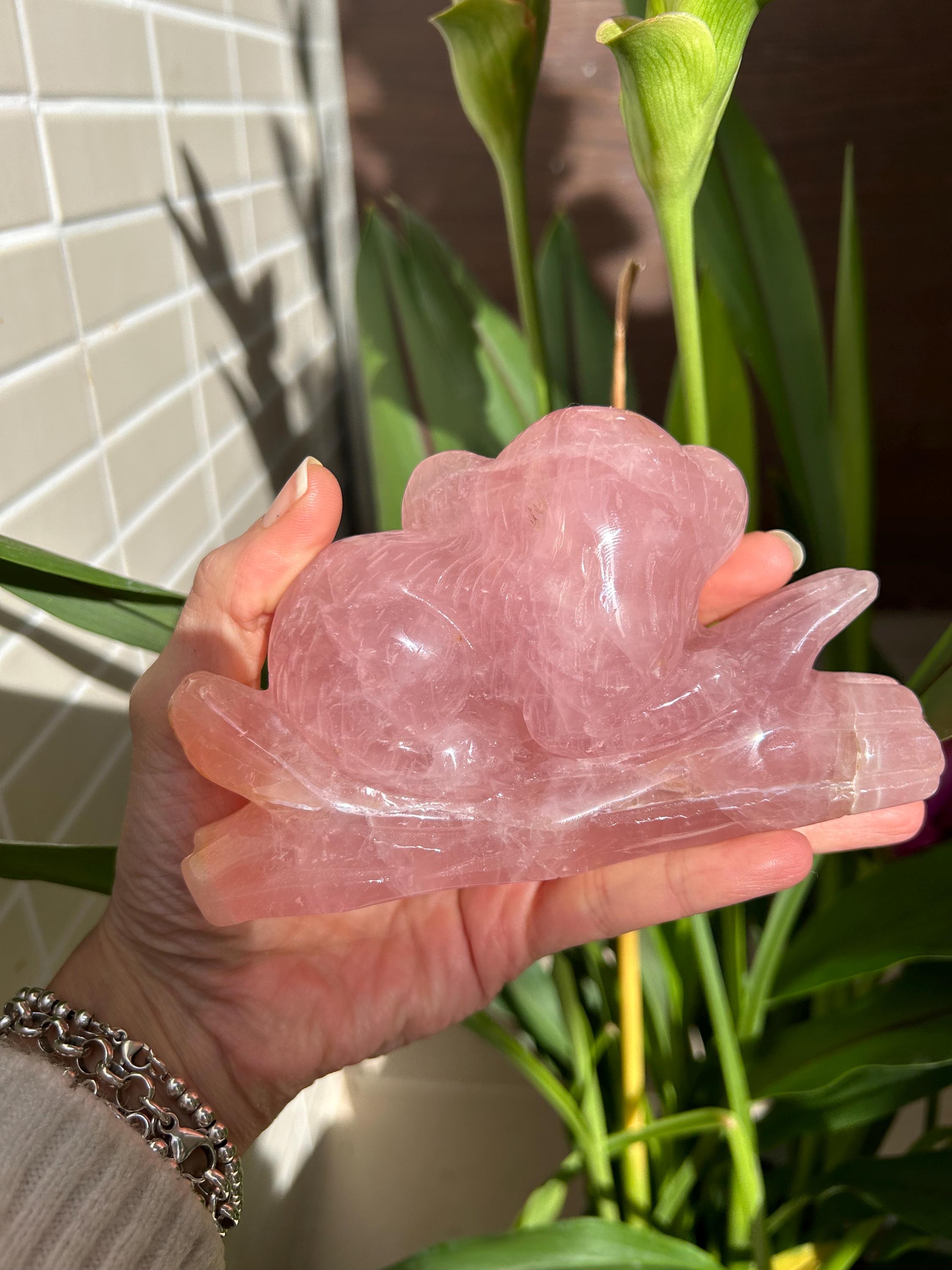 Precioso koala de cuarzo rosa de gran calidad. 
Tallado a mano con mucho detalle.

Se enviará la misma pieza.

Ideal oara decorar tu hogar y a la misma vez armonizar tu hogar, con las propiedades del cuarzo rosa.

El cuarzo rosa se a escogido de gran calidad y color. En alguna zona lleva alguna inclusión de hierro. Que le da un toque natural al cuarzo.

Tamaño 13 por 7,5 centímetros.

Peso 518 gramos.

Envío con número de seguimiento.