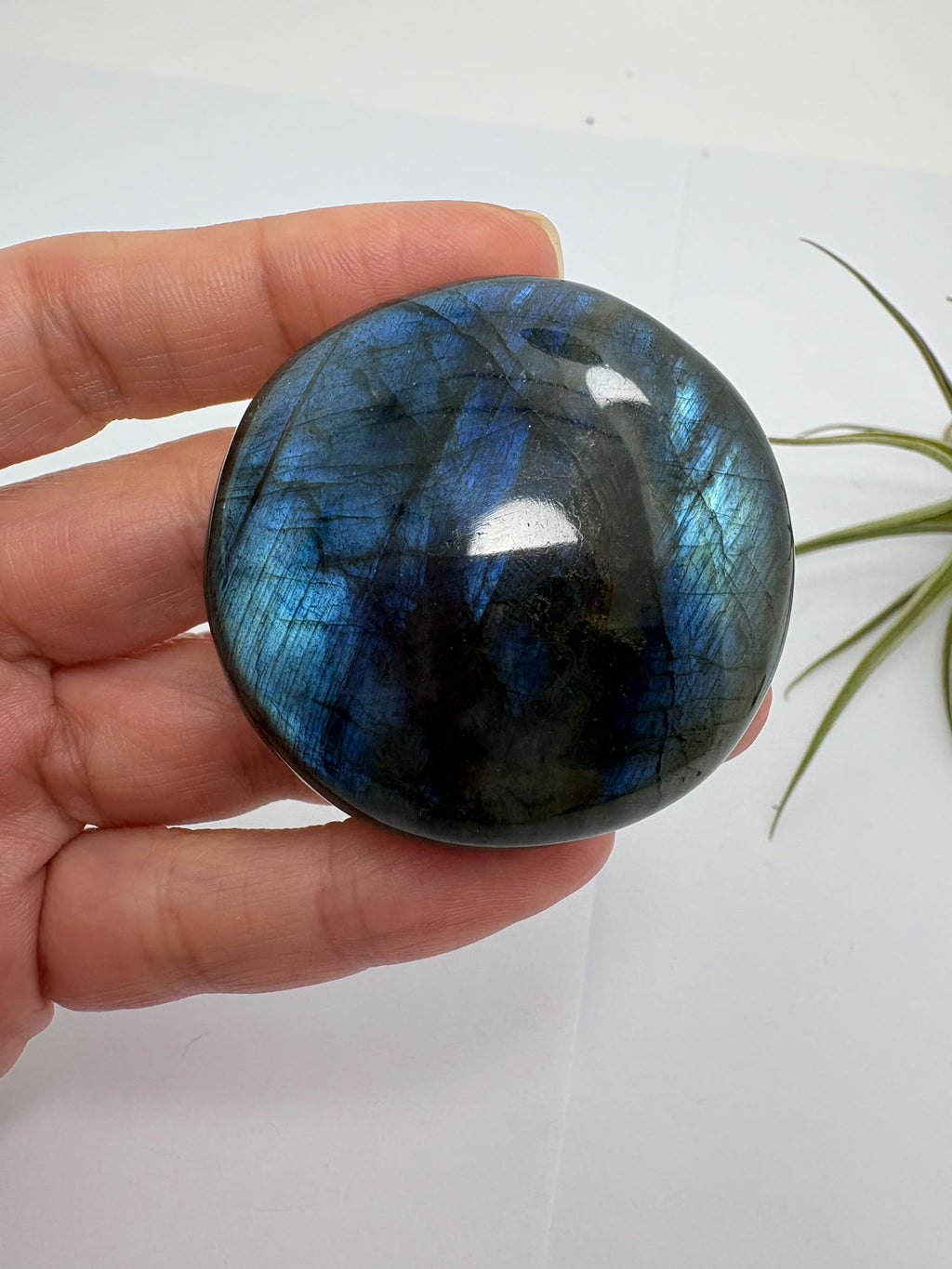 Descubre este canto de labradorita azul pulida, con destellos que cambian bajo la luz. Una pieza especial para tu colección de minerales.