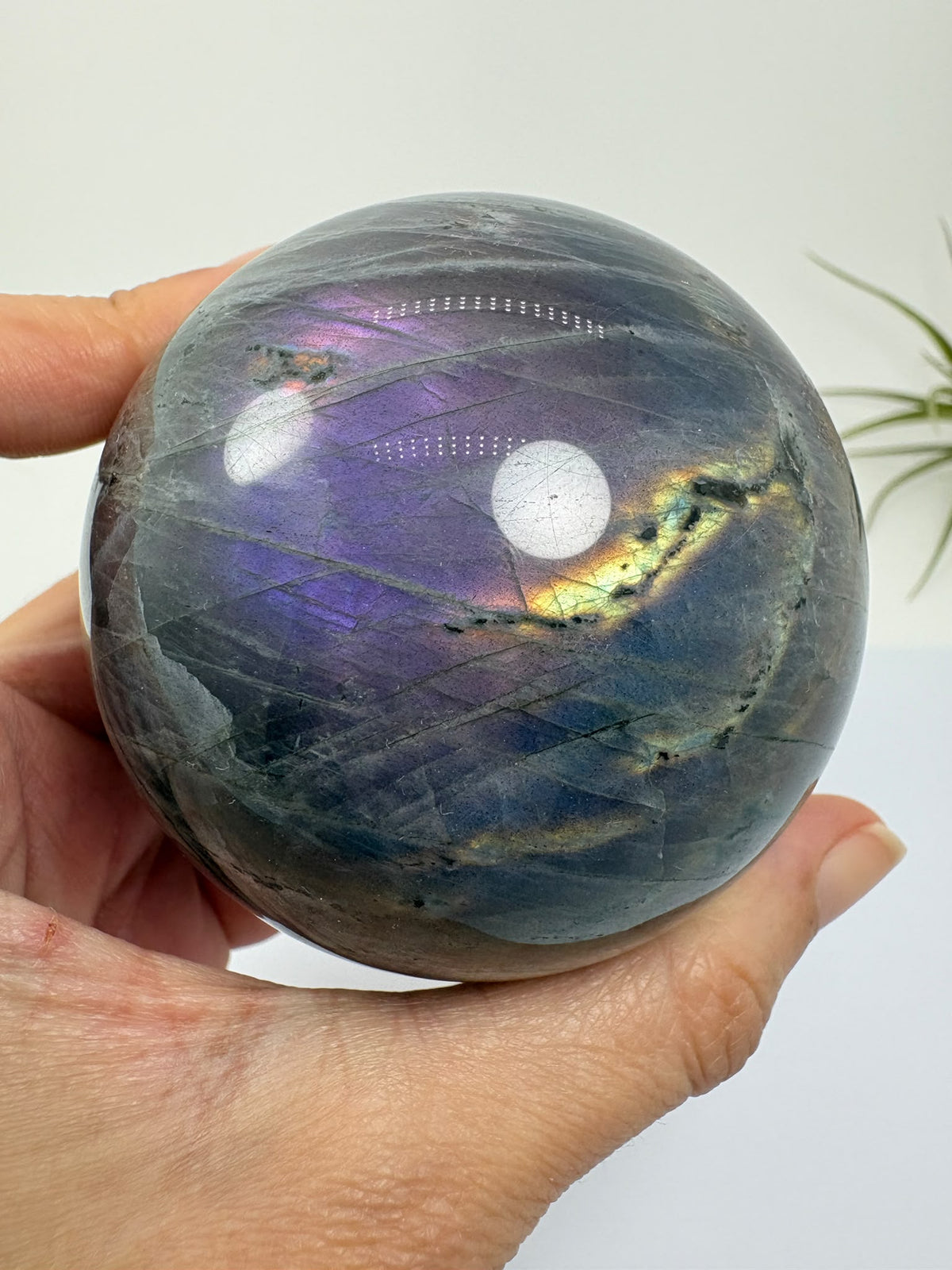 Descubre esta esfera de labradorita pulida con reflejos lilas, violetas y dorados. Recibe la pieza fotografiada. Base no incluida.