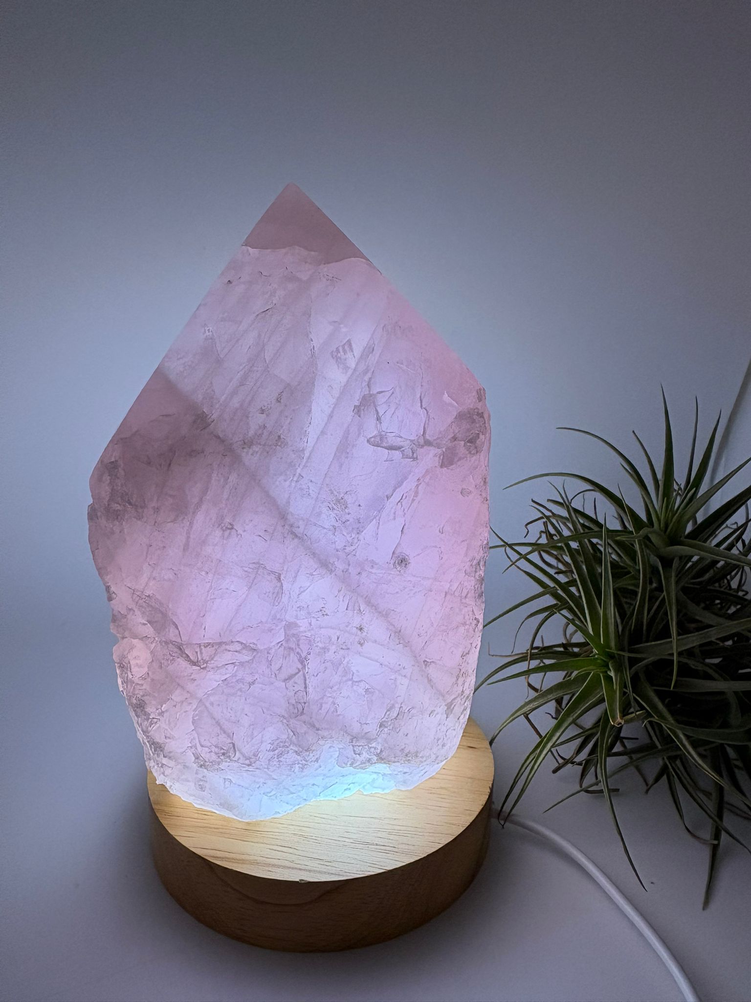 Lámpara de cuarzo rosa natural de alta calidad, una pieza única que combina la belleza del mineral con una iluminación suave y envolvente gracias a su base LED de madera con conexión USB.

Este cuarzo rosa ha sido trabajado en forma semi pulida, manteniendo parte de su estado natural en la base y con la punta pulida en forma de generador. Esta terminación permite dirigir y amplificar la energía, potenciando sus propiedades y creando un ambiente armónico en el espacio.

El cuarzo rosa es conocido como la pie
