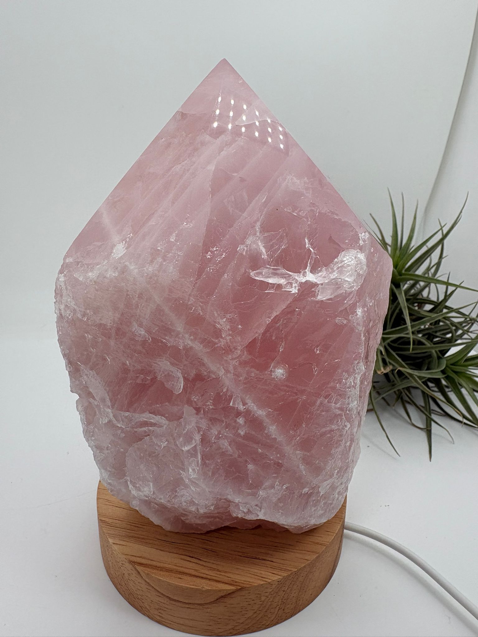 Lámpara de cuarzo rosa natural de alta calidad, una pieza única que combina la belleza del mineral con una iluminación suave y envolvente gracias a su base LED de madera con conexión USB.

Este cuarzo rosa ha sido trabajado en forma semi pulida, manteniendo parte de su estado natural en la base y con la punta pulida en forma de generador. Esta terminación permite dirigir y amplificar la energía, potenciando sus propiedades y creando un ambiente armónico en el espacio.

El cuarzo rosa es conocido como la pie