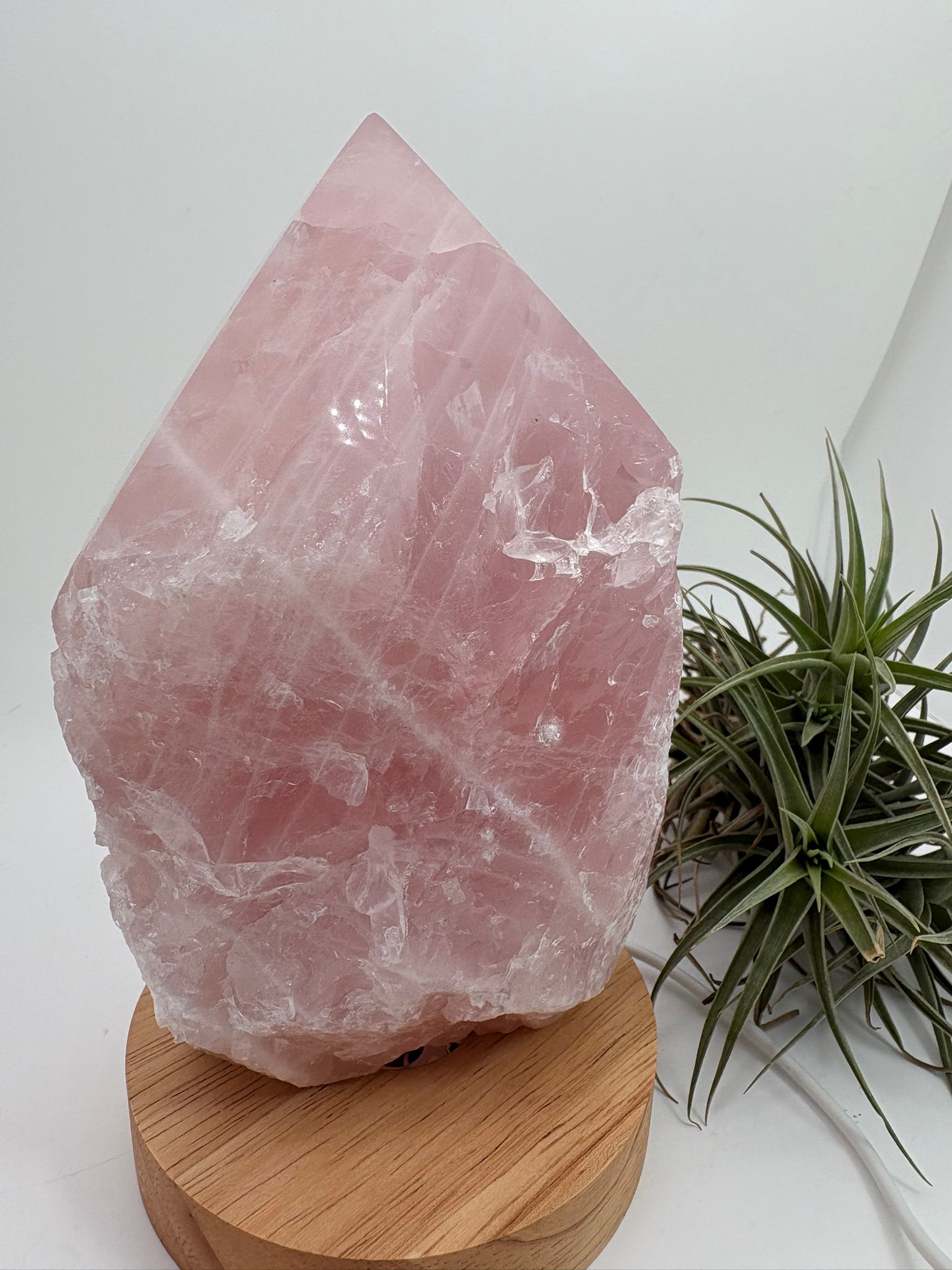 Lámpara de cuarzo rosa natural de alta calidad, una pieza única que combina la belleza del mineral con una iluminación suave y envolvente gracias a su base LED de madera con conexión USB.

Este cuarzo rosa ha sido trabajado en forma semi pulida, manteniendo parte de su estado natural en la base y con la punta pulida en forma de generador. Esta terminación permite dirigir y amplificar la energía, potenciando sus propiedades y creando un ambiente armónico en el espacio.

El cuarzo rosa es conocido como la pie