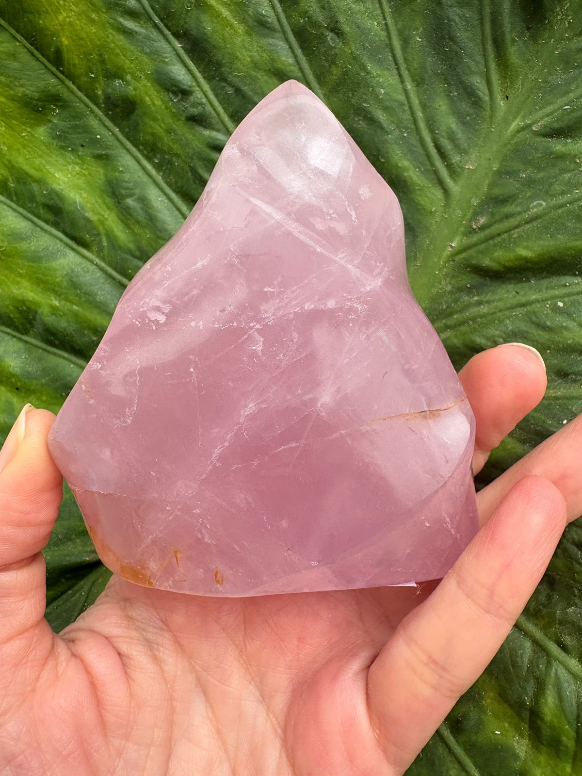 Descubre esta llama de cuarzo rosa natural de Brasil, de delicado tono rosado y acabado pulido. Una pieza especial para decorar o acompañar tu meditación.