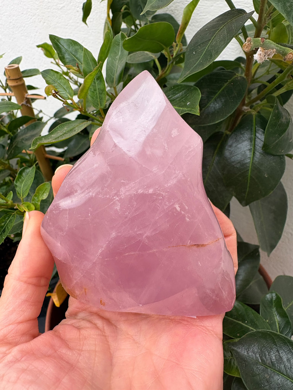 Descubre esta llama de cuarzo rosa natural de Brasil, de delicado tono rosado y acabado pulido. Una pieza especial para decorar o acompañar tu meditación.