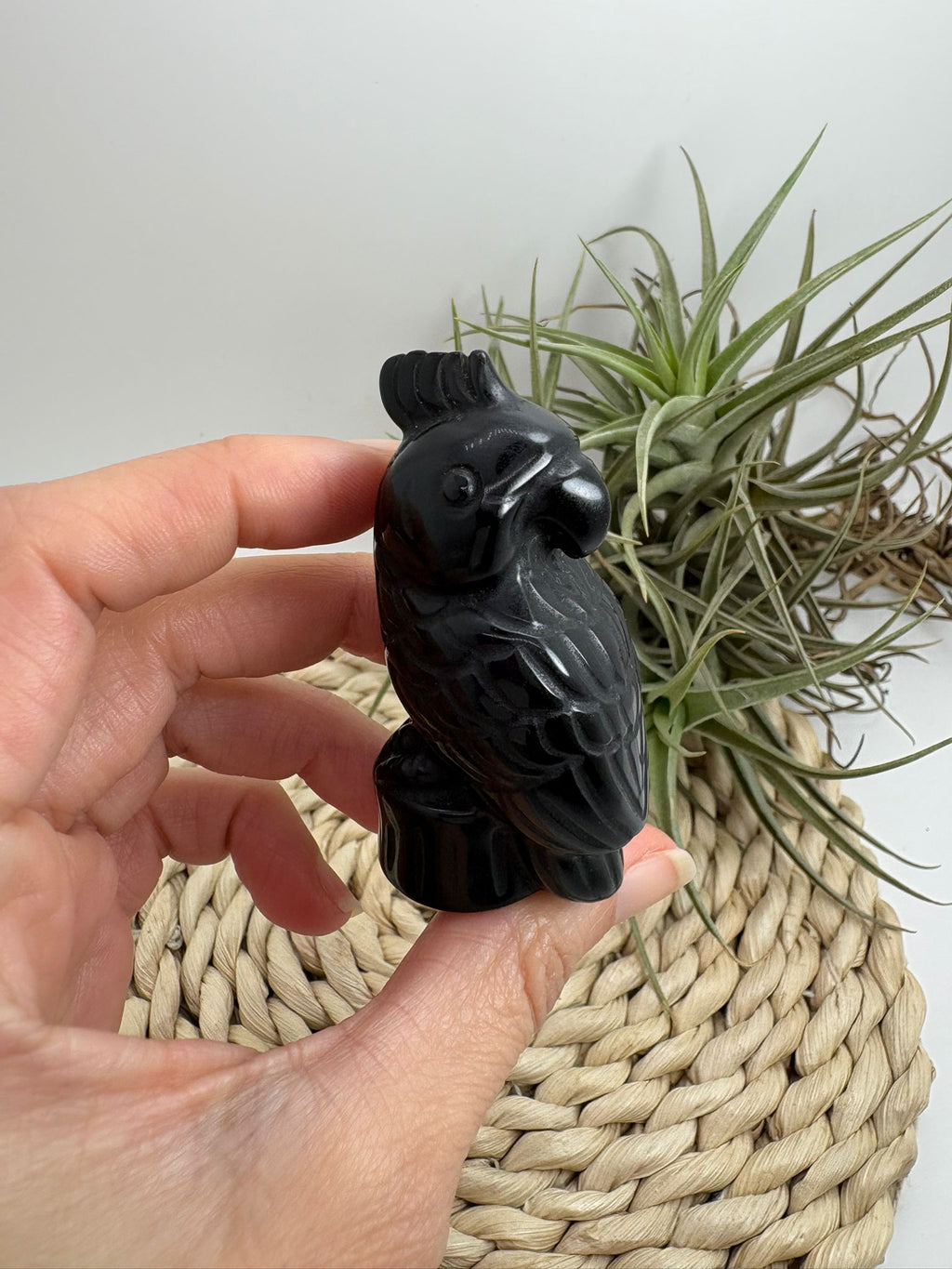 Loro tallado a mano en obsidiana negra, una figura decorativa con gran energía protectora. Ideal para hogar, altar o colección.