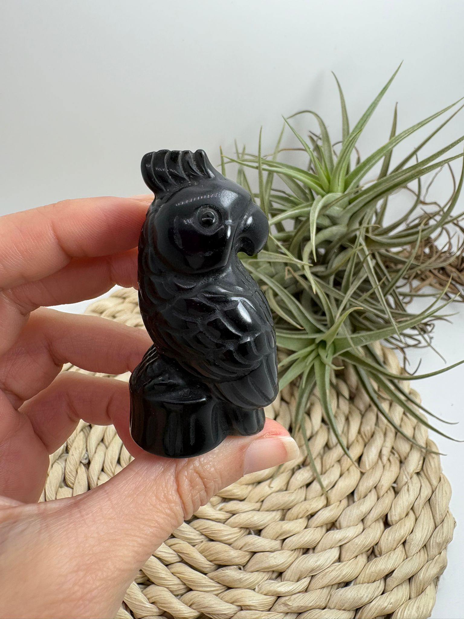 Loro tallado a mano en obsidiana negra, una figura decorativa con gran energía protectora. Ideal para hogar, altar o colección.