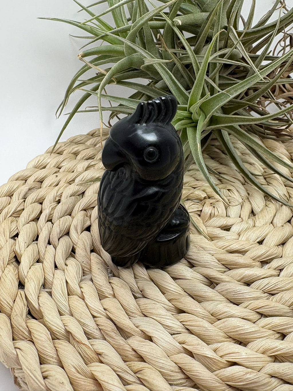 Loro tallado a mano en obsidiana negra, una figura decorativa con gran energía protectora. Ideal para hogar, altar o colección.