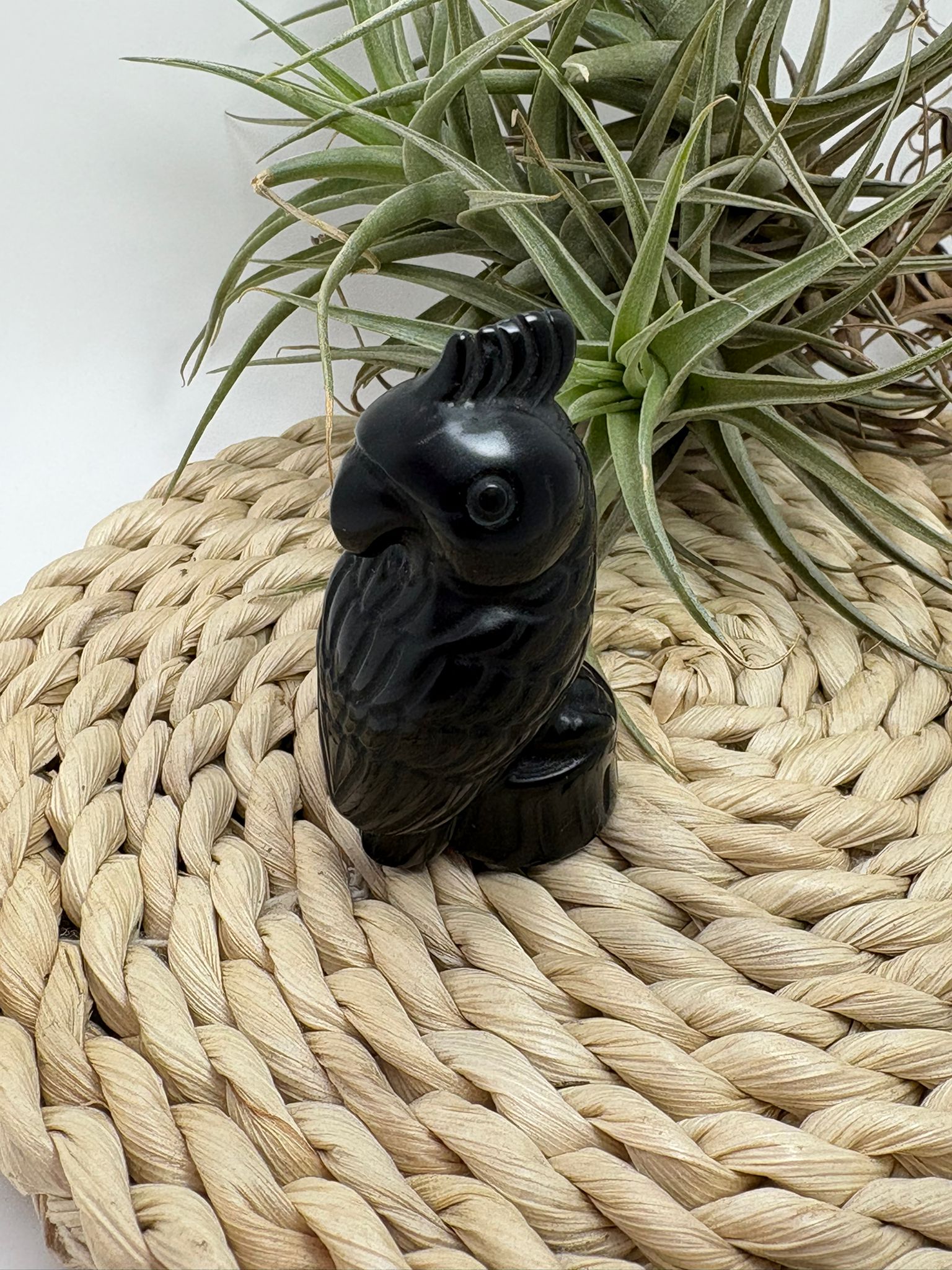 Loro tallado a mano en obsidiana negra, una figura decorativa con gran energía protectora. Ideal para hogar, altar o colección.