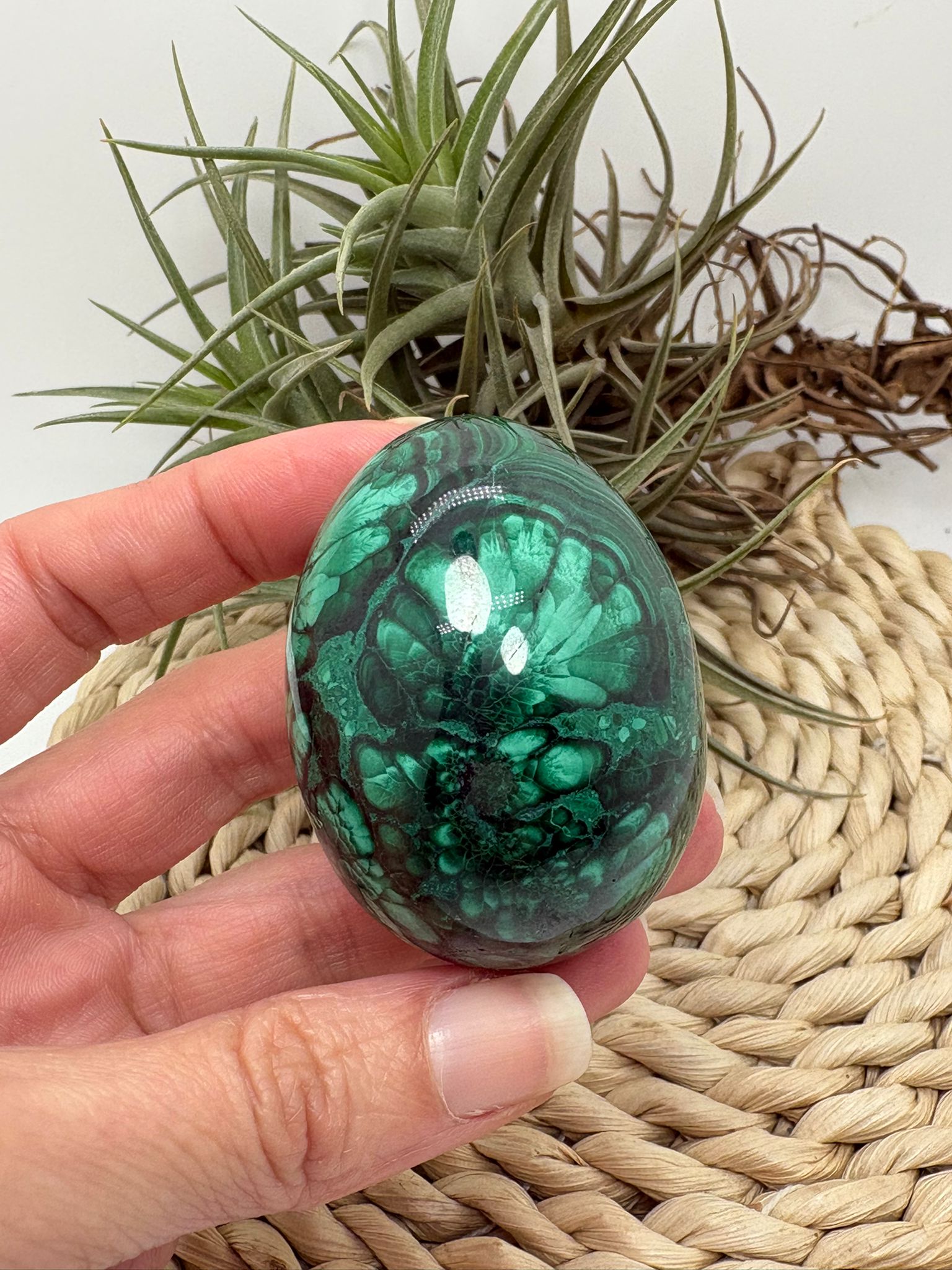 Huevo de malaquita fibrosa pulida con intensos tonos verdes y patrón natural único. Piedra de protección, transformación y energía profunda.