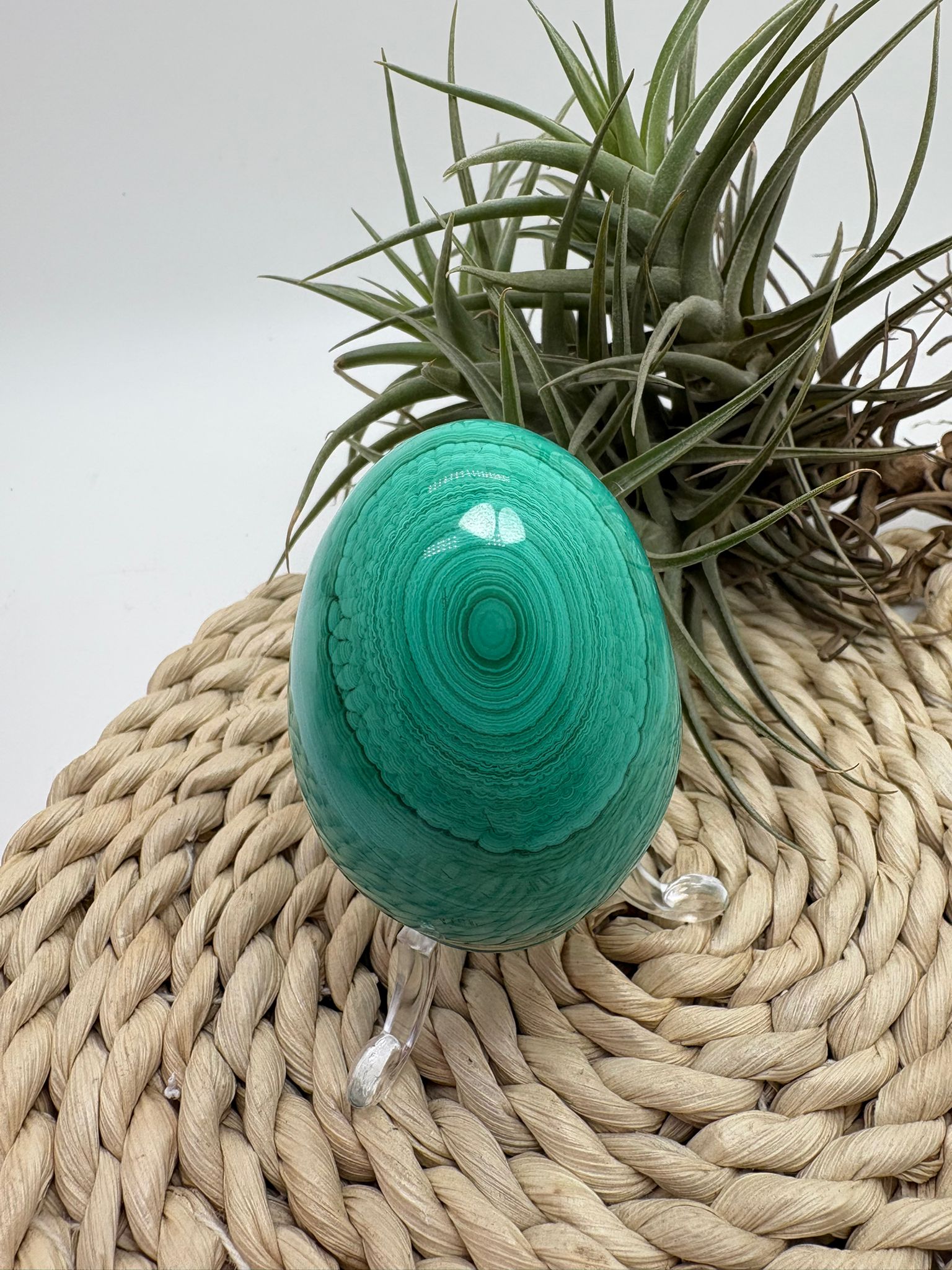 Huevo de malaquita fibrosa pulida con intensos tonos verdes y patrón natural único. Piedra de protección, transformación y energía profunda.