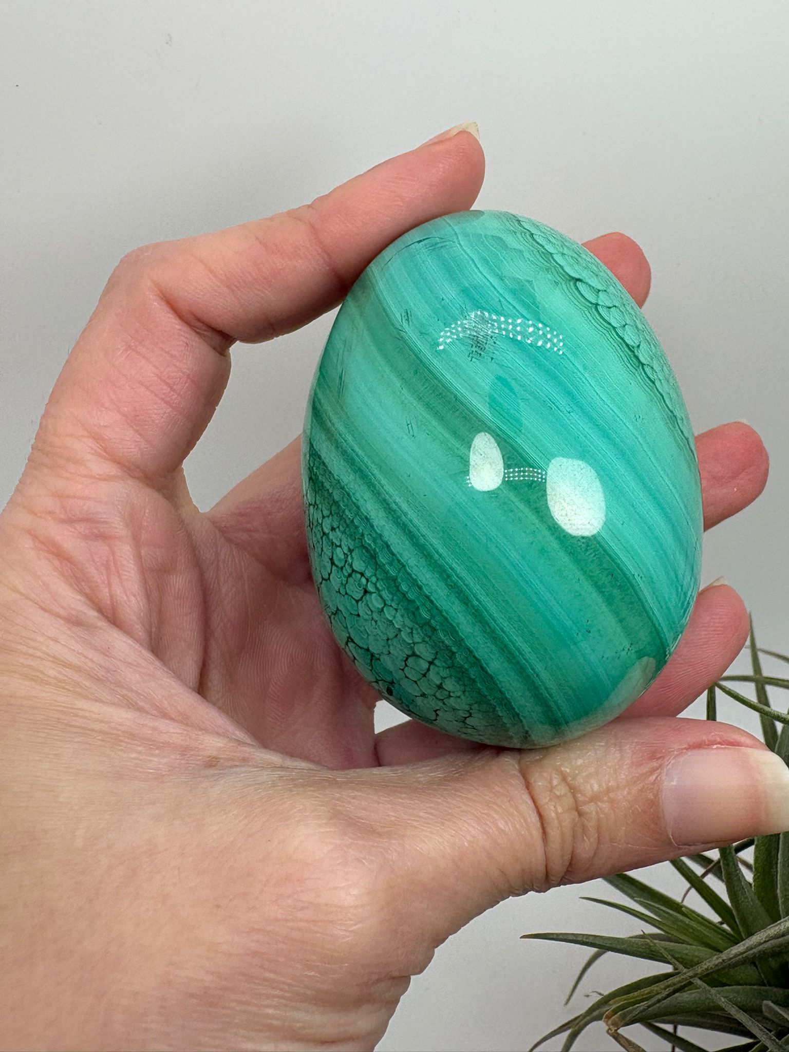 Huevo de malaquita fibrosa pulida con intensos tonos verdes y patrón natural único. Piedra de protección, transformación y energía profunda.