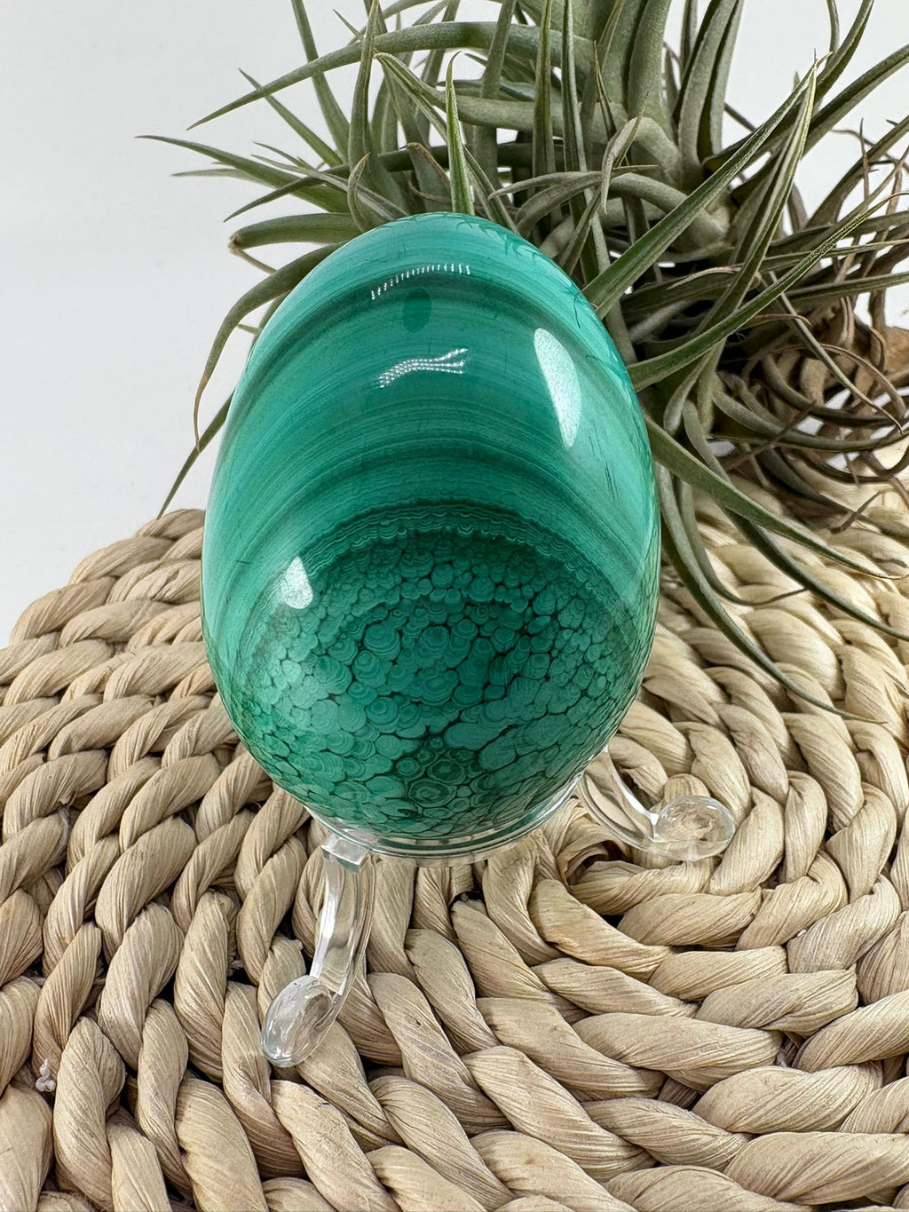 Huevo de malaquita fibrosa pulida con intensos tonos verdes y patrón natural único. Piedra de protección, transformación y energía profunda.