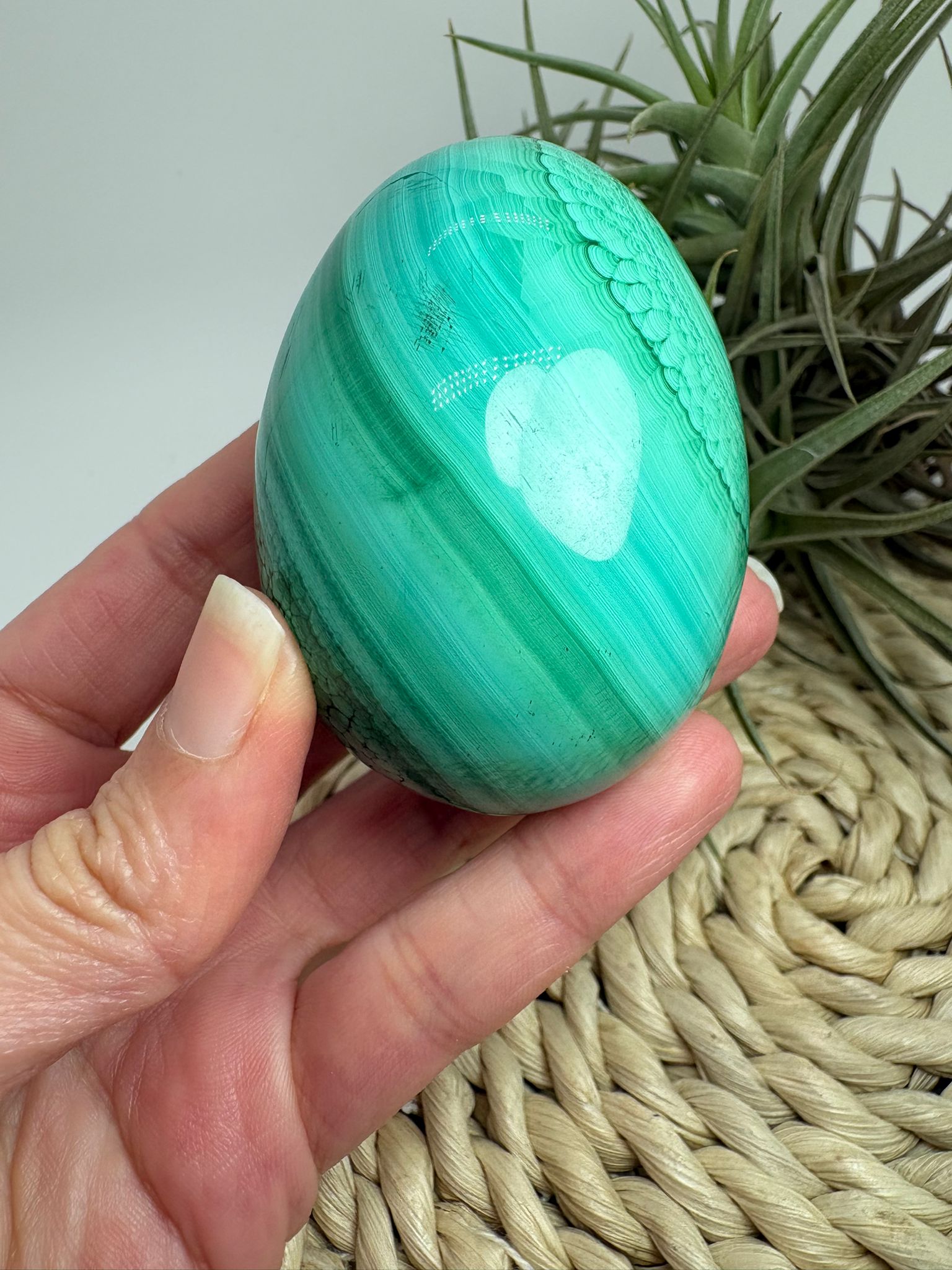 Huevo de malaquita fibrosa pulida con intensos tonos verdes y patrón natural único. Piedra de protección, transformación y energía profunda.