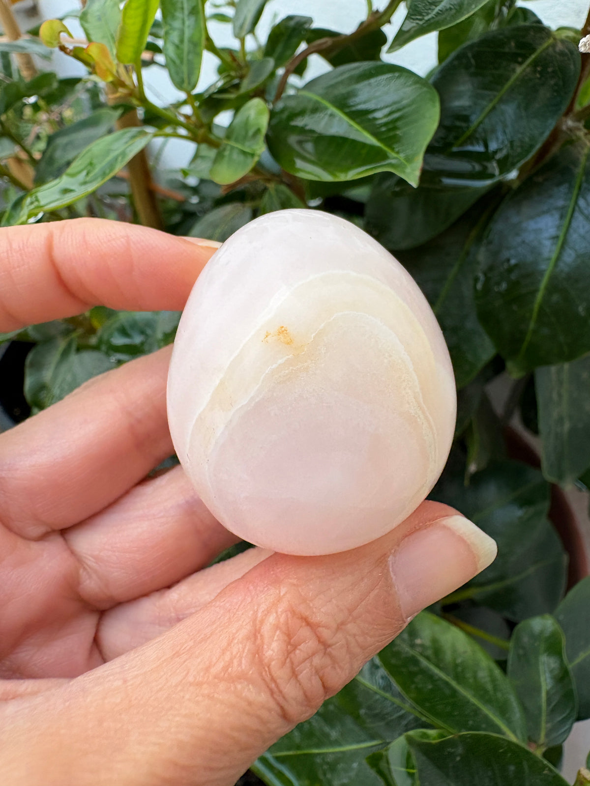 Pequeño huevo de manganocalcita pulida, de un delicado tono rosa pálido con vetas blancas y crema. Su superficie suave y sus dibujos naturales le dan un aspecto dulce y especial, ideal para regalar o añadir a tu colección de minerales.