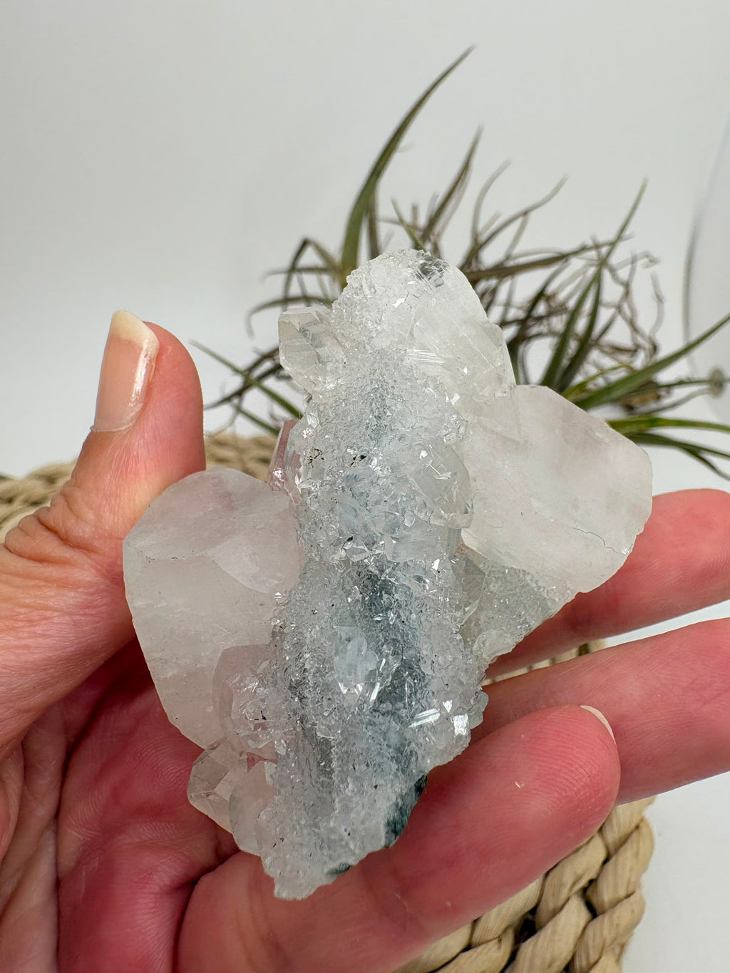 Preciosa formación de apofilita blanca natural procedente de la India, compuesta por cristales brillantes con formas geométricas y terminaciones naturales. Su transparencia, sus reflejos y su aspecto luminoso hacen que cada pieza sea completamente única.

La apofilita está considerada una piedra muy potente y espiritual. Se asocia especialmente con el chakra corona, favoreciendo su apertura y una conexión profunda con la energía espiritual. Se le atribuyen propiedades relacionadas con la intuición, la clari