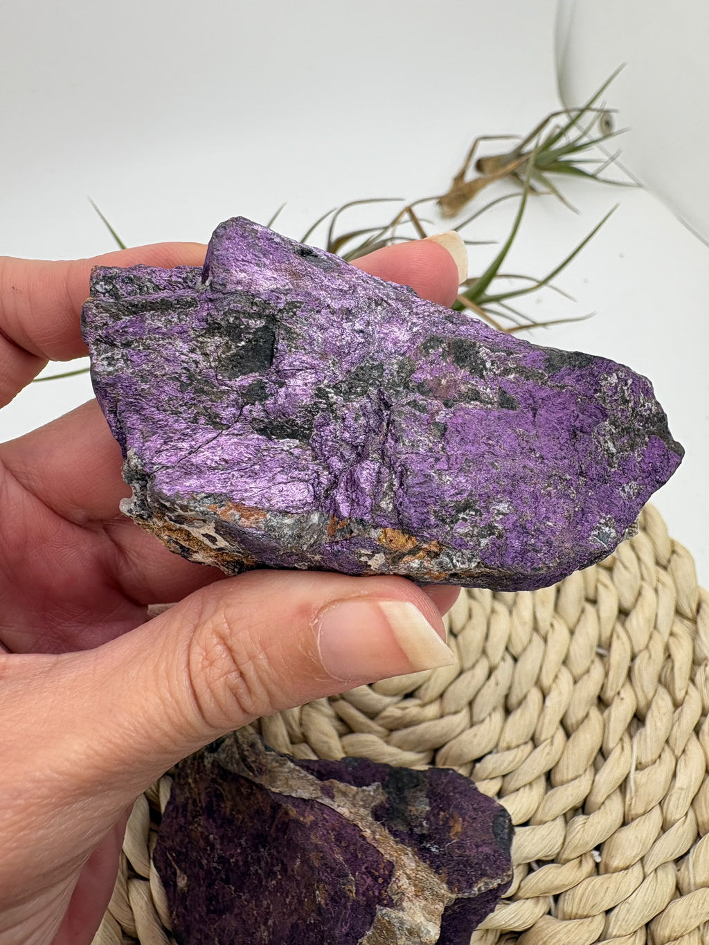 Purpurita natural en bruto procedente de Namibia. Piezas únicas de intenso color violeta para elegir, ideales para colección y meditación.