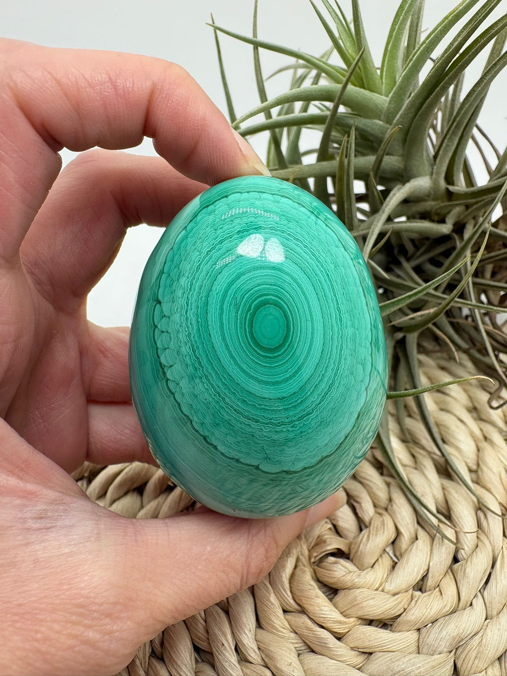 Huevo de malaquita fibrosa pulida con intensos tonos verdes y patrón natural único. Piedra de protección, transformación y energía profunda.