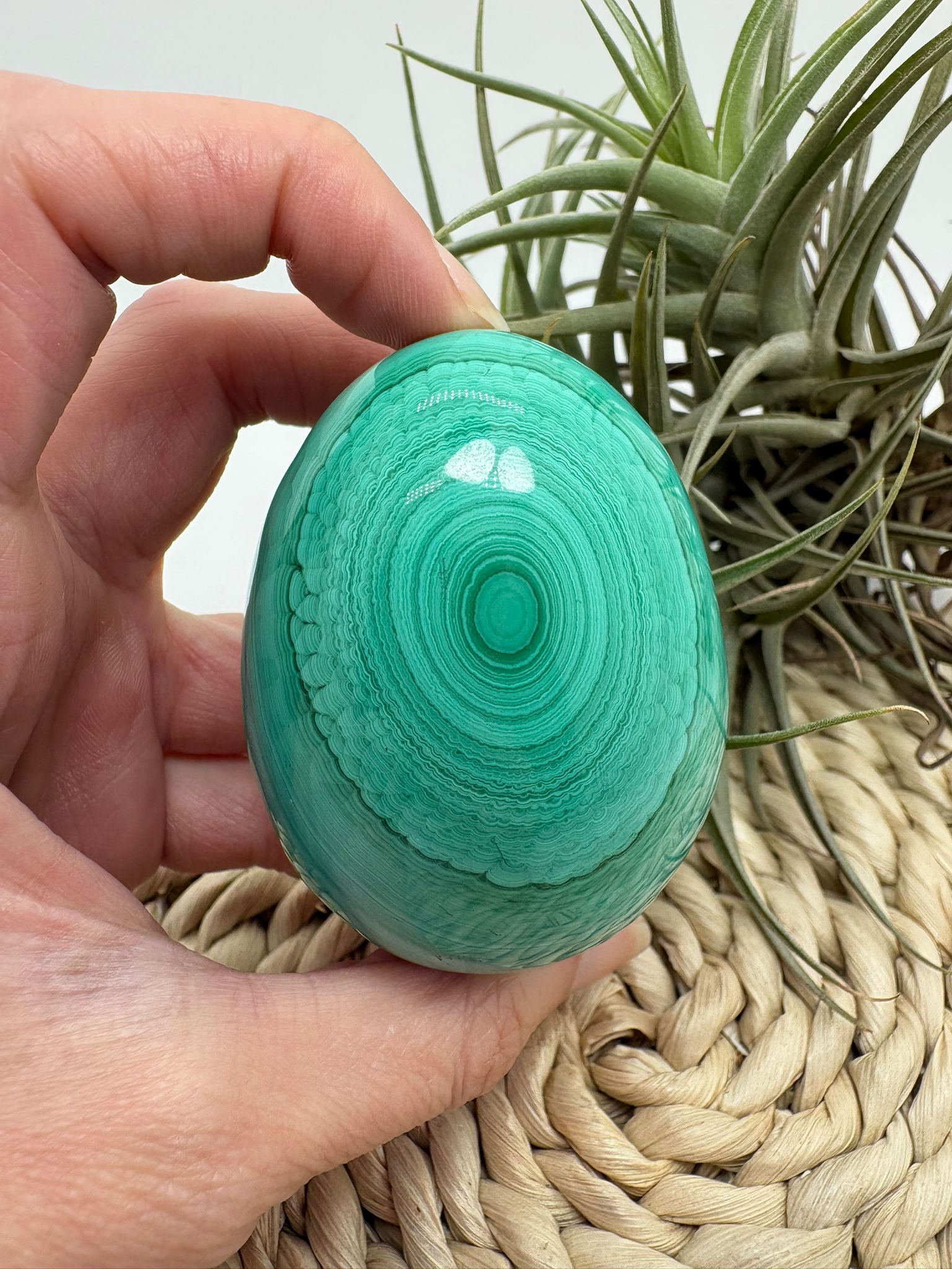 Huevo de malaquita fibrosa pulida con intensos tonos verdes y patrón natural único. Piedra de protección, transformación y energía profunda.