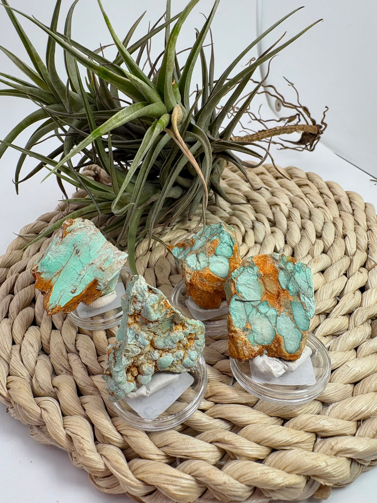 Variscita natural de Zamora en bruto, de aproximadamente 3 × 3 cm. Piezas únicas de tonos verdes y matriz natural. Envío de una pieza al azar.
