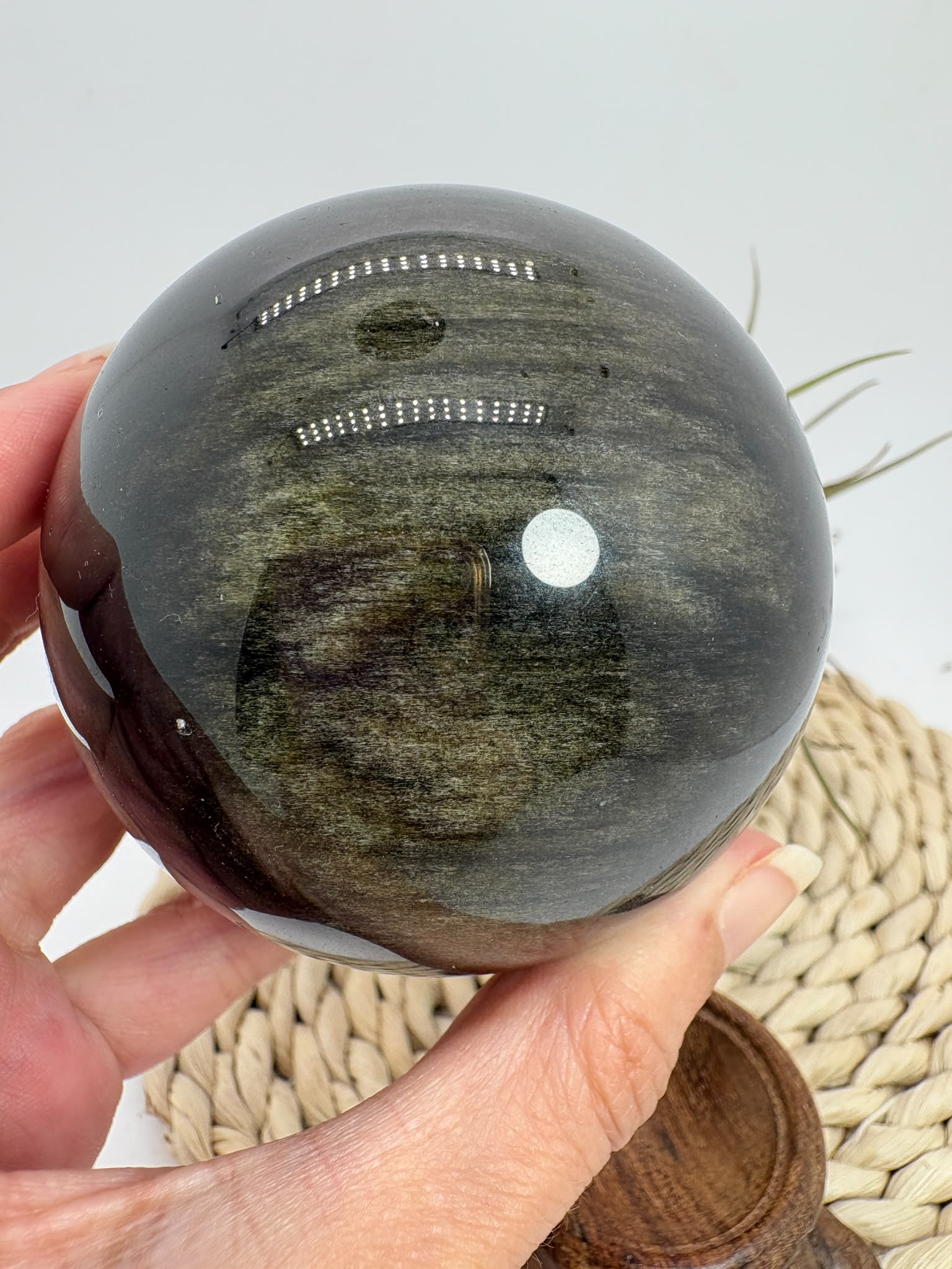 Esfera de obsidiana dorada procedente de México, de gran tamaño y con un intenso acabado pulido. Su superficie oscura revela preciosos reflejos dorados al recibir la luz, creando un efecto brillante y profundo característico de esta variedad de obsidiana.
