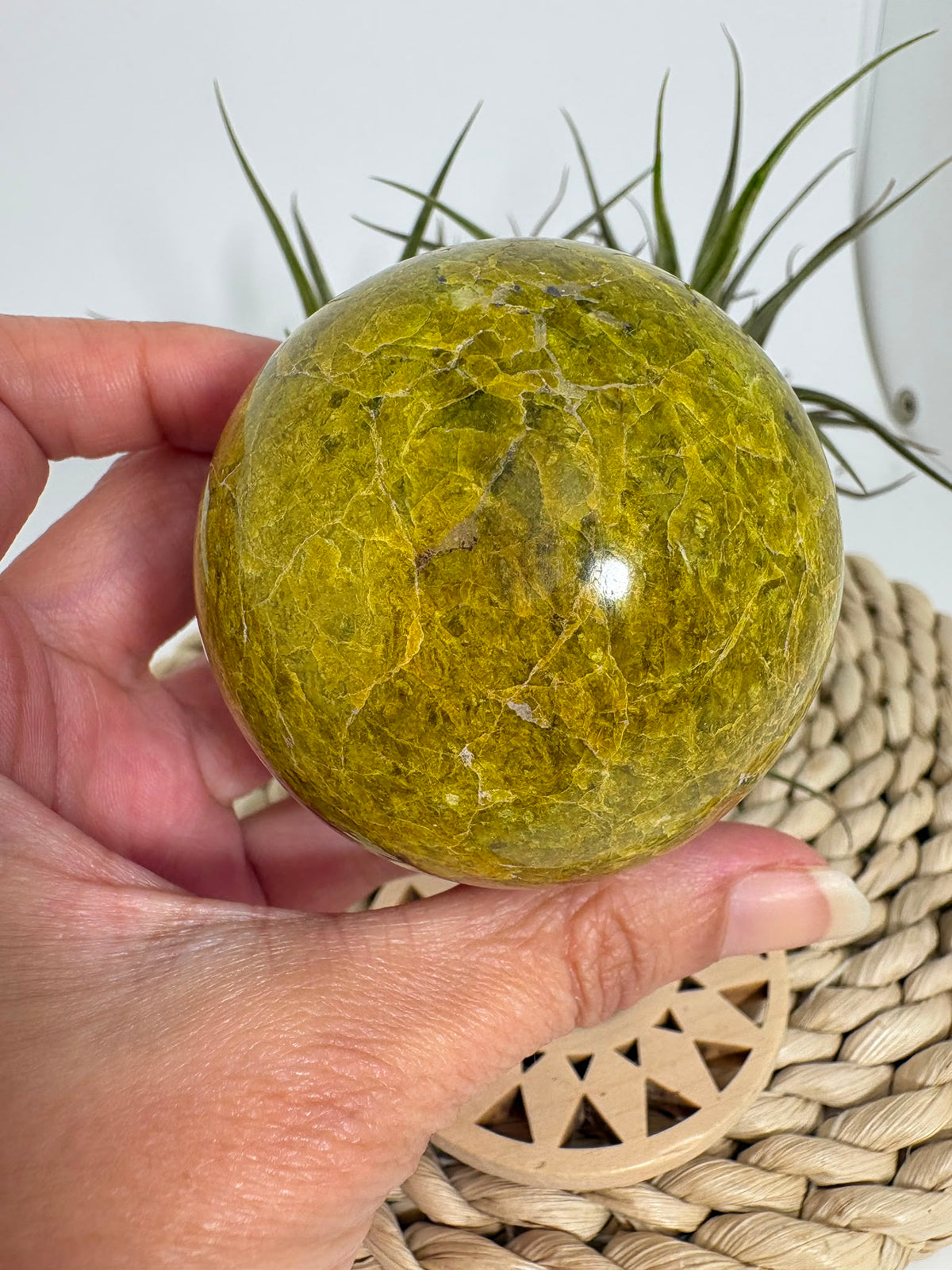 Preciosa esfera de ópalo verde procedente de Madagascar, caracterizada por sus tonalidades verdes, amarillentas y blancas, que forman dibujos naturales únicos en toda la superficie. Su pulido realza el color, el brillo y la riqueza de sus matices.

