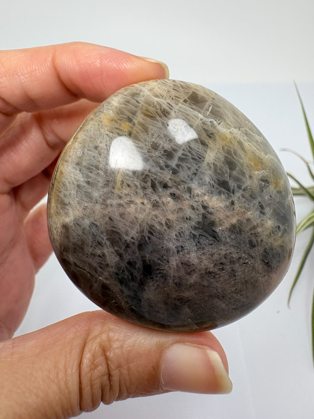 Descubre esta palmstone de adularia negra de Madagascar, con tonos oscuros y vetas naturales. Una pieza única pulida para tu colección.