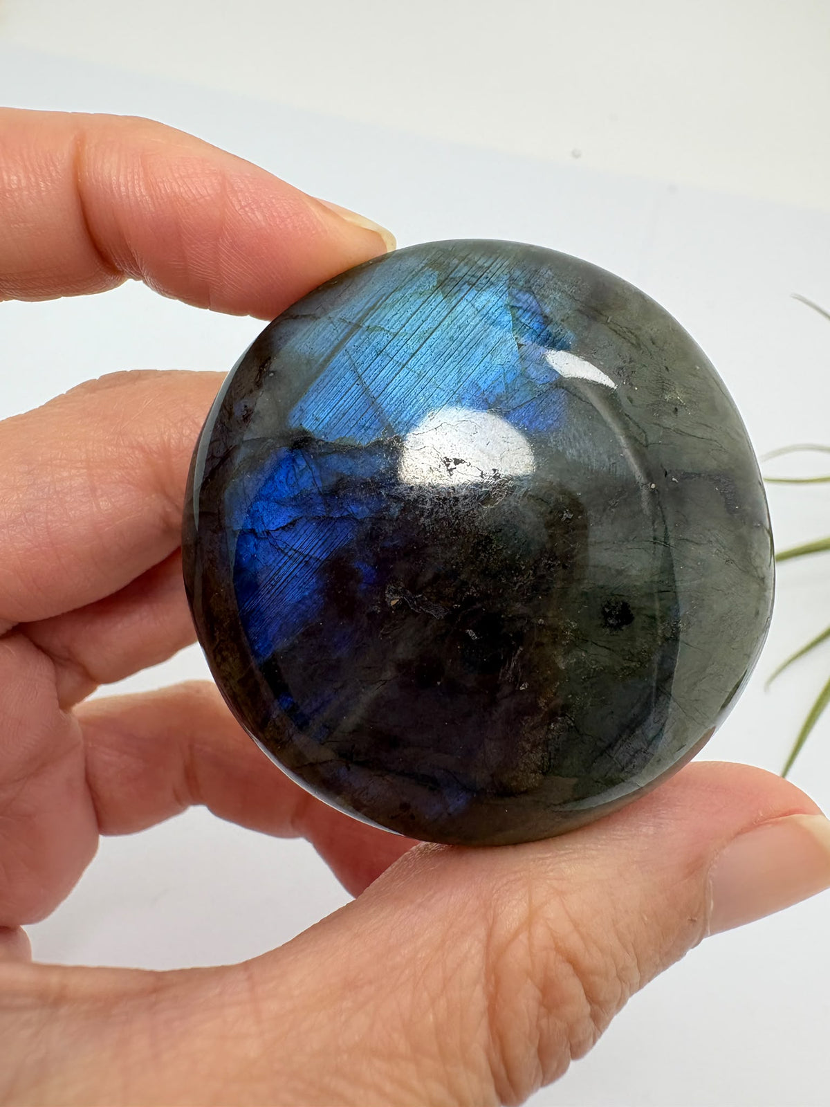 Descubre este canto de labradorita azul pulida, con destellos que cambian bajo la luz. Una pieza especial para tu colección de minerales.