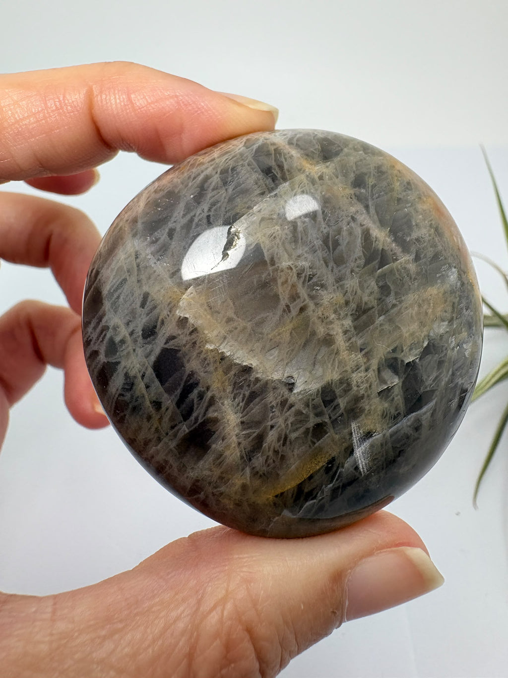 Descubre esta palmstone de adularia negra de Madagascar, con tonos oscuros y vetas naturales. Una pieza única pulida para tu colección.