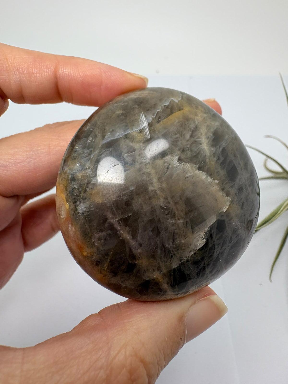 Descubre esta palmstone de adularia negra de Madagascar, con tonos oscuros y vetas naturales. Una pieza única pulida para tu colección.