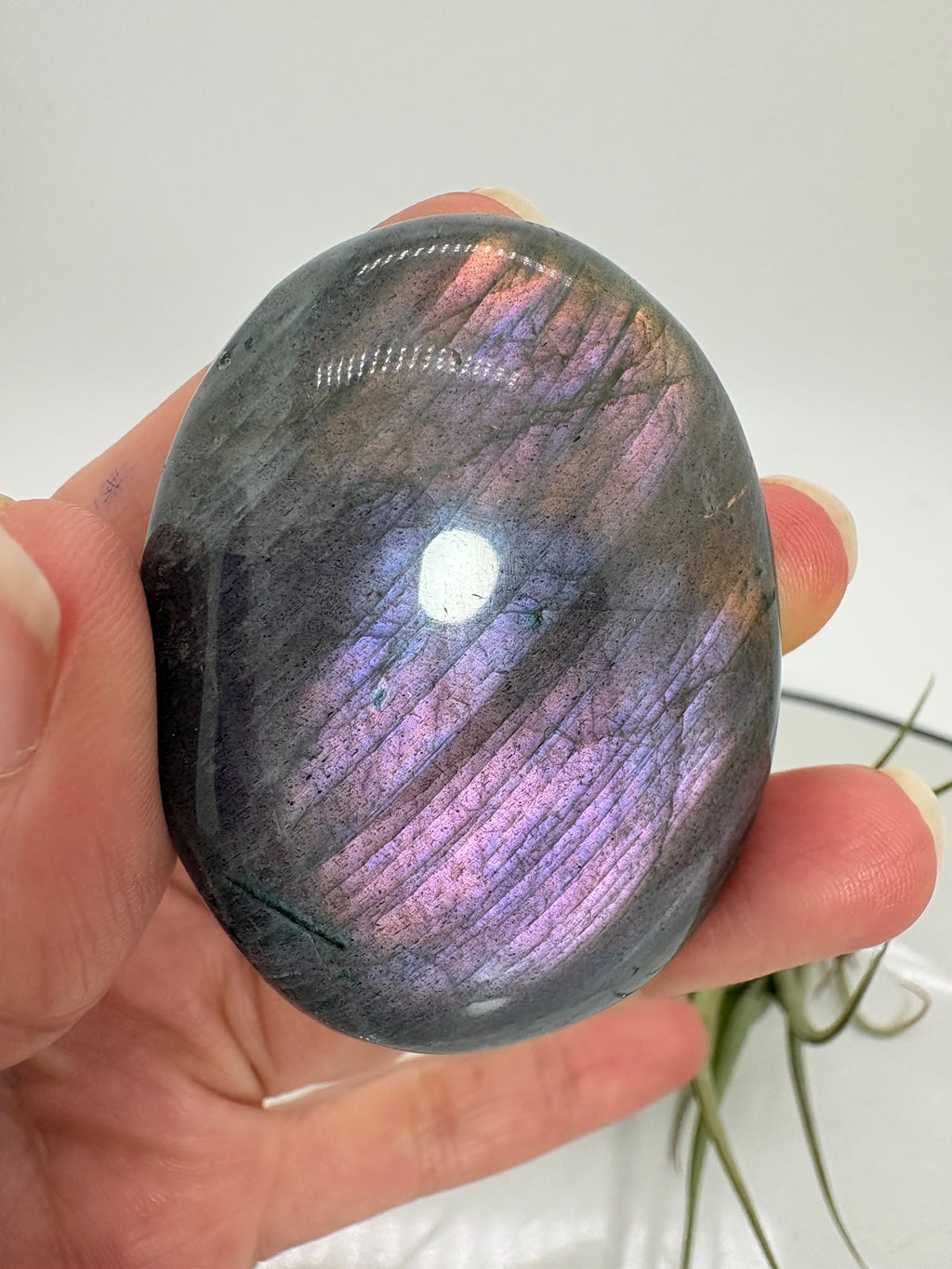 Palmstone de labradorita lila de Madagascar de 5,2 × 4 × 1,1 cm. Reflejos violetas, rosados y dorados. Recibe la pieza de las fotos.