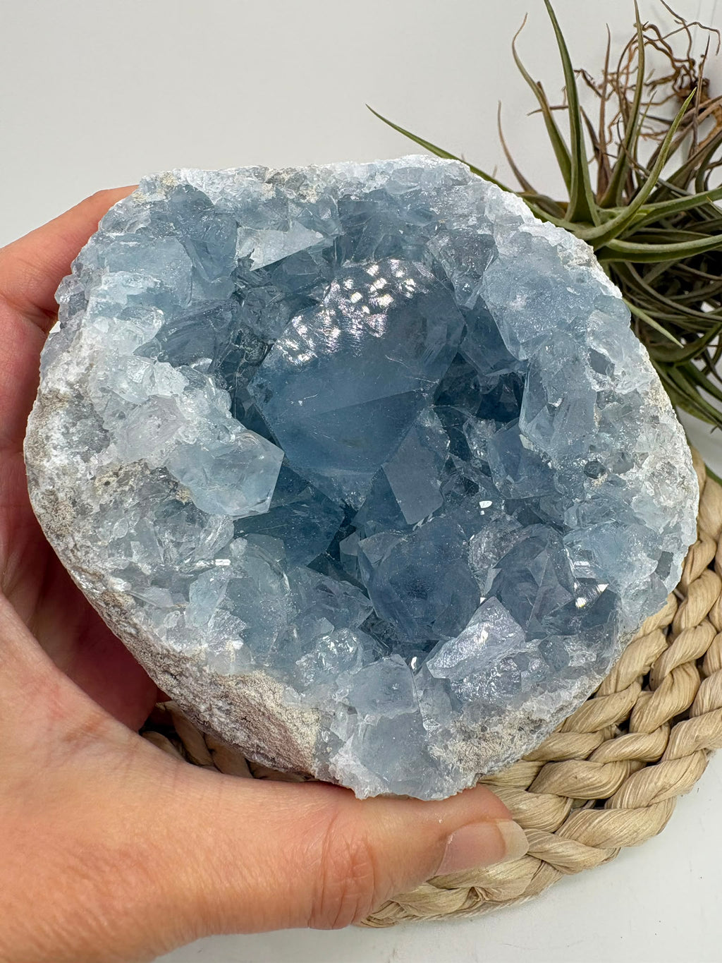 Celestina natural de Madagascar en drusa, de color azul celeste y cristales brillantes. Pieza única de 535 g para colección y decoración.