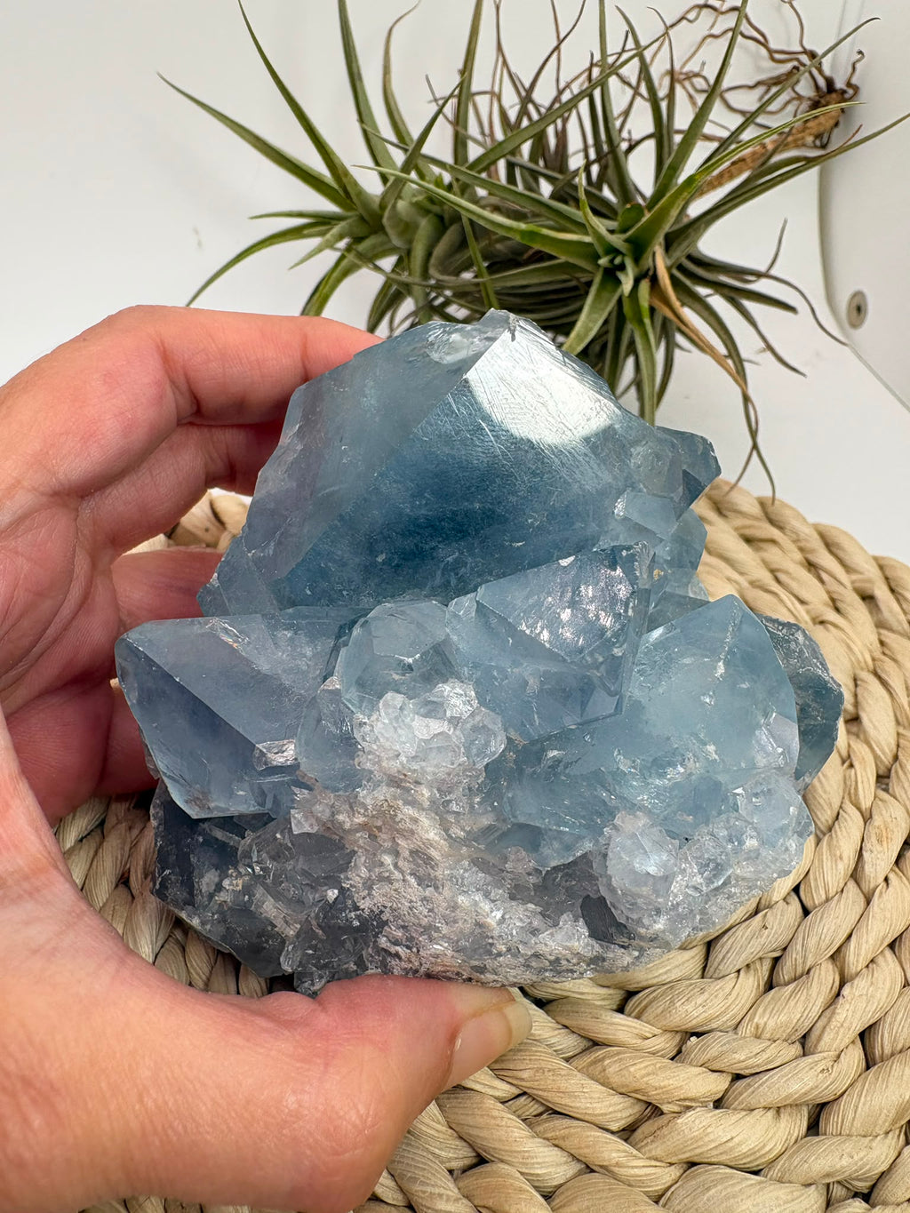 Celestina natural de Madagascar en drusa, de color azul celeste y cristales brillantes. Pieza única de 535 g para colección y decoración.