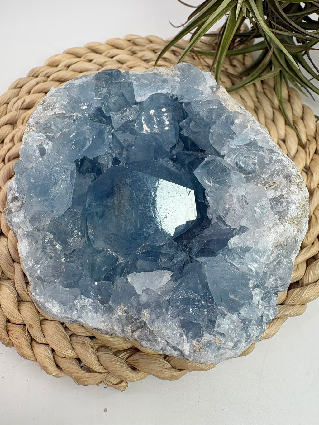 Celestina natural de Madagascar en drusa, de color azul celeste y cristales brillantes. Pieza única de 535 g para colección y decoración.
