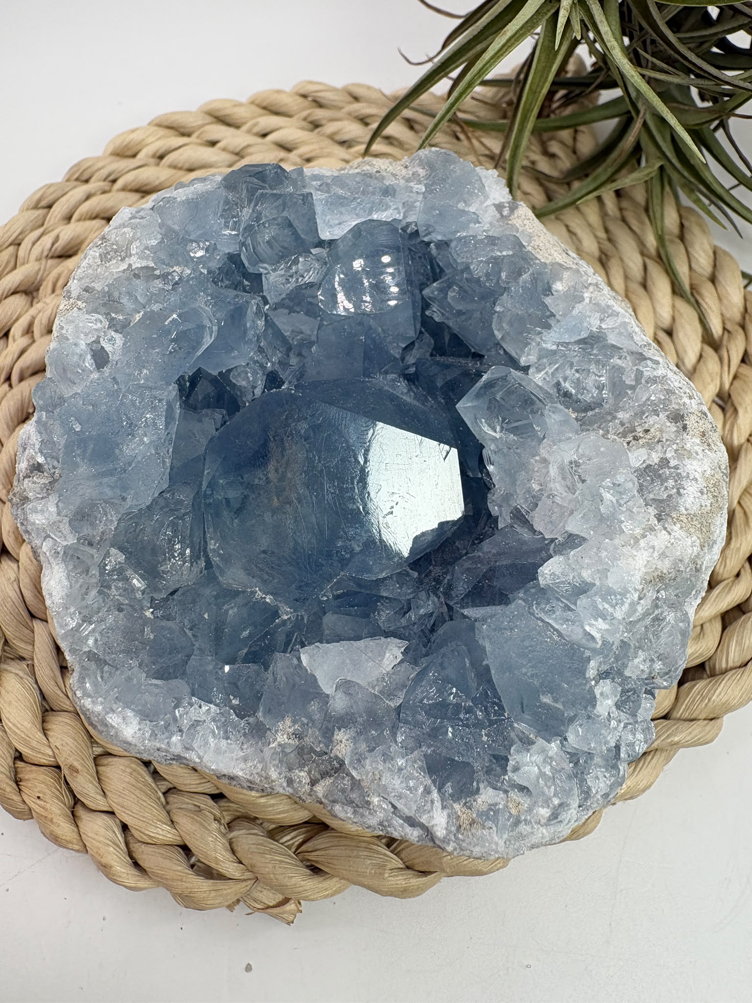Celestina natural de Madagascar en drusa, de color azul celeste y cristales brillantes. Pieza única de 535 g para colección y decoración.