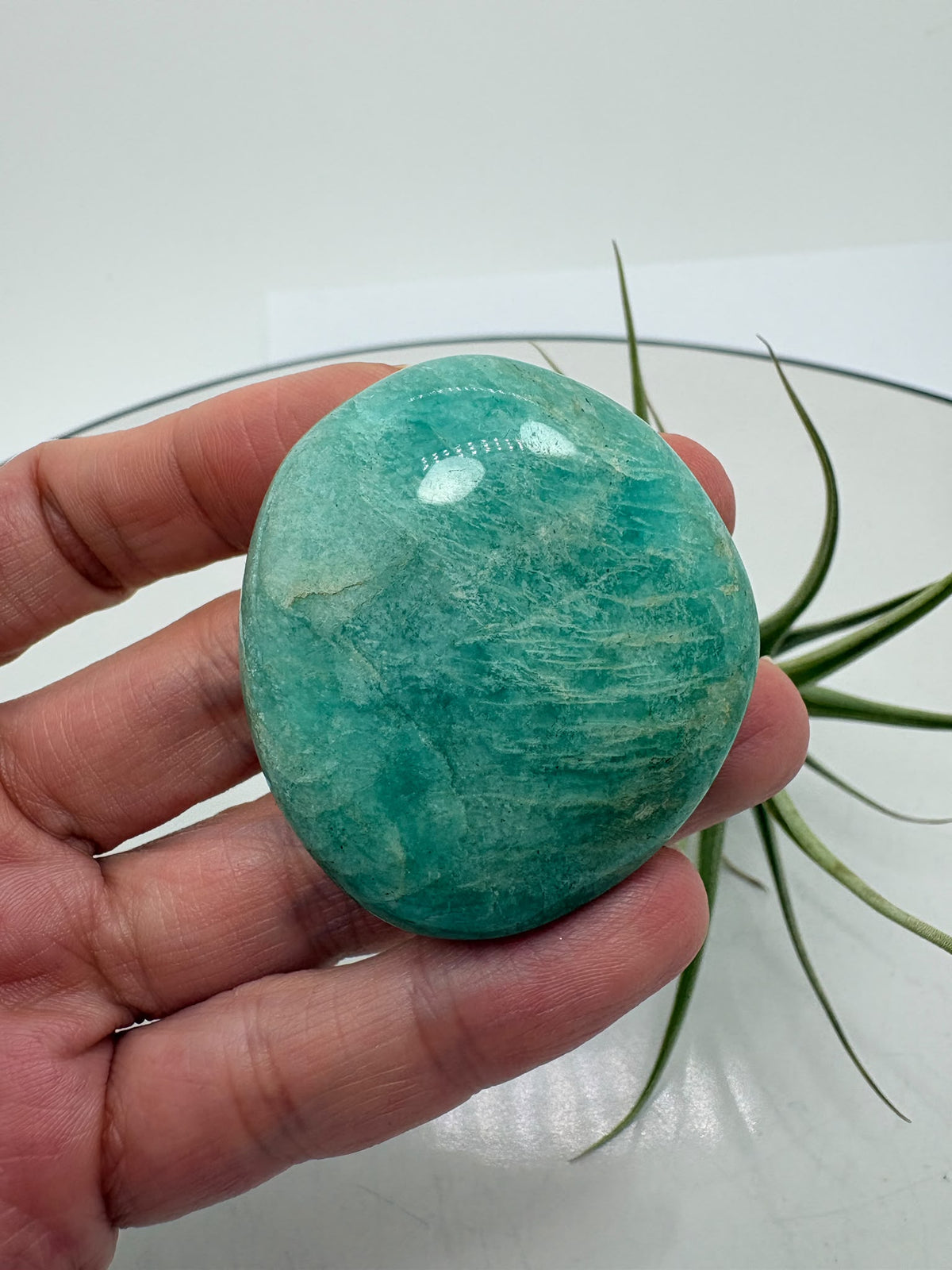 palmstone de amazonita natural pulida con inclusiones de cuarzo ahumado y mica biotita, de Madagascar.

&nbsp;Una piedra perfecta para llevar en la mano, meditar o utilizar como apoyo energético diario. La amazonita destaca por sus tonos verde azulados con vetas naturales más oscuras, que le aportan profundidad y un aspecto único.