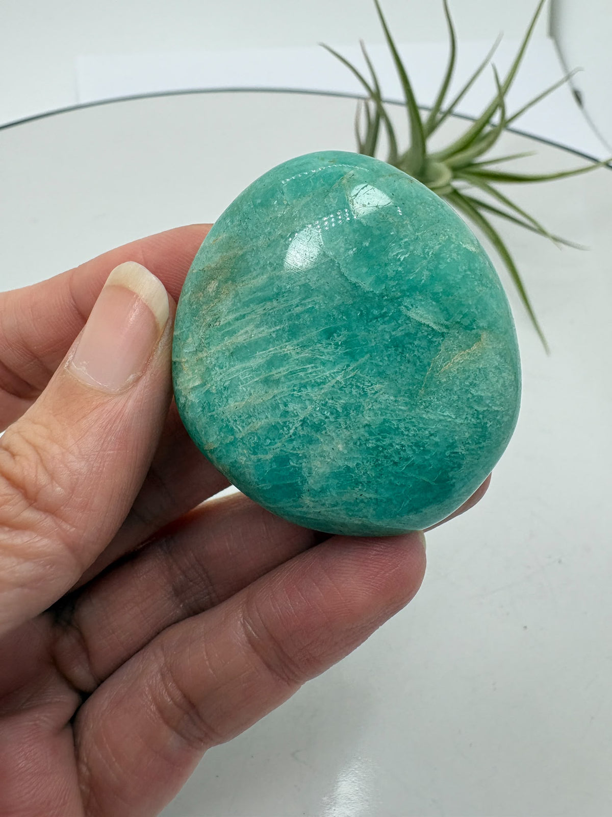 palmstone de amazonita natural pulida con inclusiones de cuarzo ahumado y mica biotita, de Madagascar.

&nbsp;Una piedra perfecta para llevar en la mano, meditar o utilizar como apoyo energético diario. La amazonita destaca por sus tonos verde azulados con vetas naturales más oscuras, que le aportan profundidad y un aspecto único.