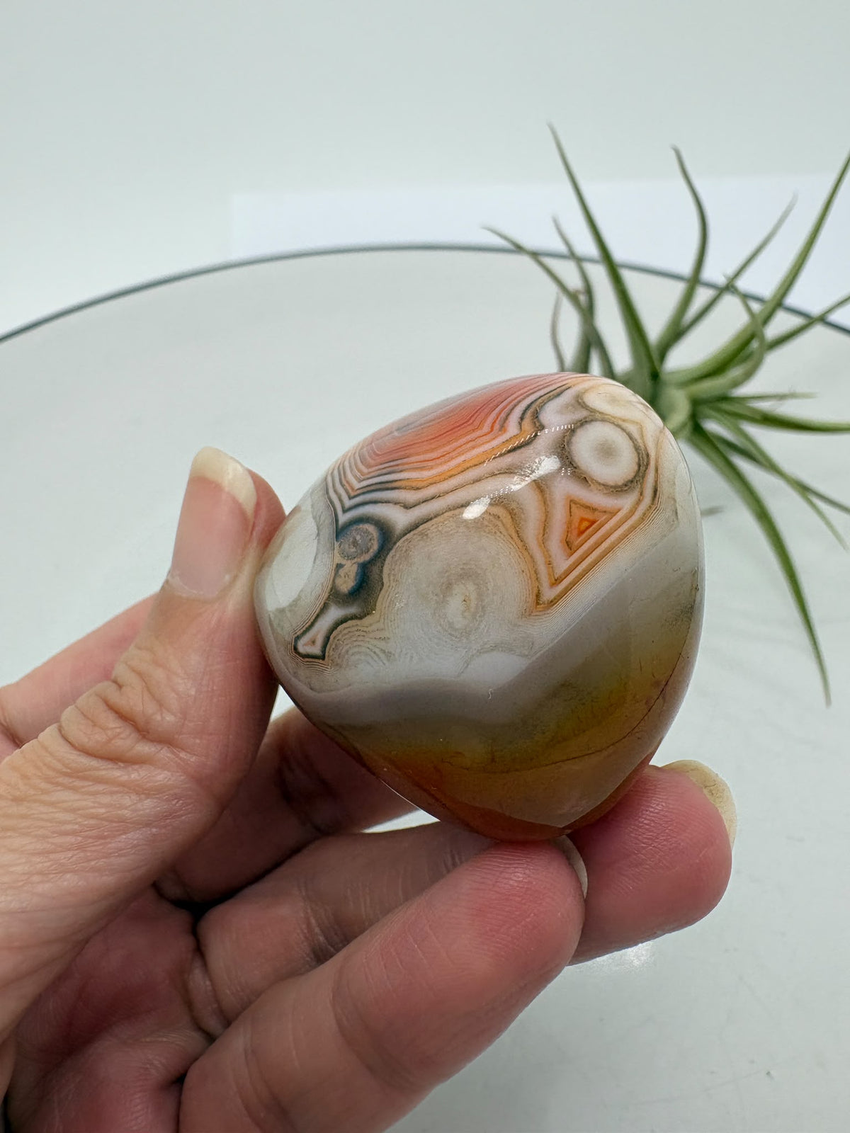 Ágata Sardónice natural de Madagascar, pulida y de pieza única. Descubre sus elegantes bandas naturales y añade un mineral exclusivo a tu colección.