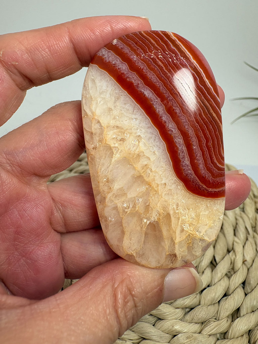 Descubre esta palmstone de ágata cornalina pulida, con bandas rojizas y tonos crema. Recibe la pieza fotografiada de La Hada de las Piedras.