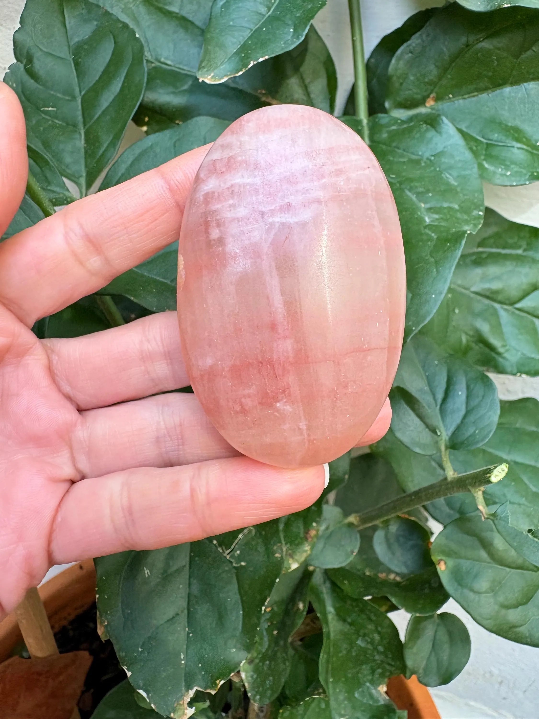 calcita rosa de Pakistán de muy buena calidad y color 