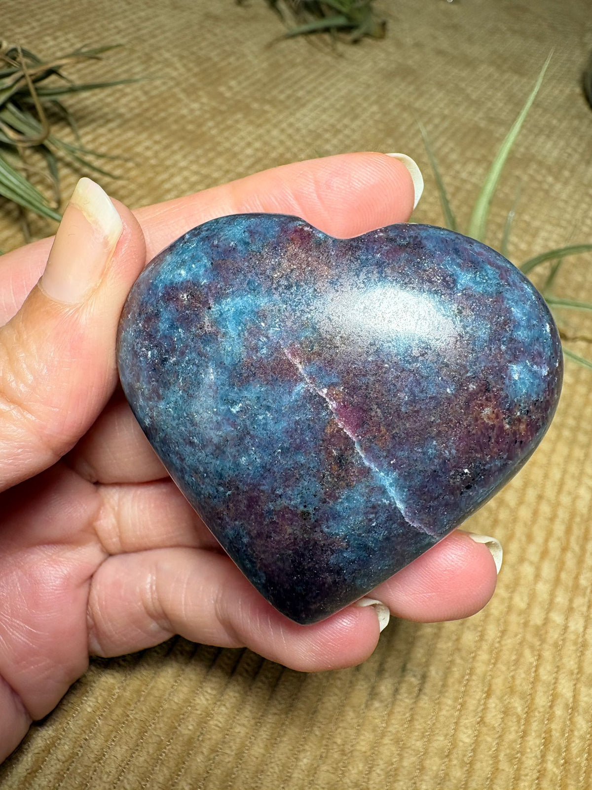 Corazón de cianita azul con rubí semipulido. El rubí presenta una intensa fluorescencia roja bajo la luz ultravioleta. Pieza única.