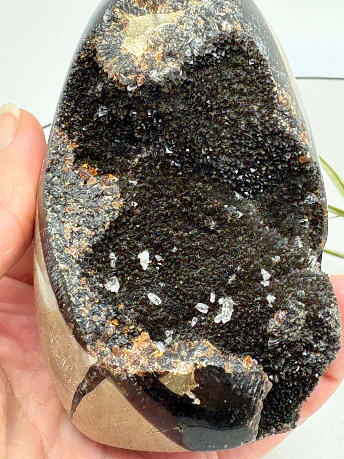Impresionante esfera de cuarzo chamánico de gran tamaño, una pieza única llena de carácter y belleza natural.

Su interior presenta inclusiones, velos y fracturas naturales que crean espectaculares reflejos arcoíris al recibir la luz.