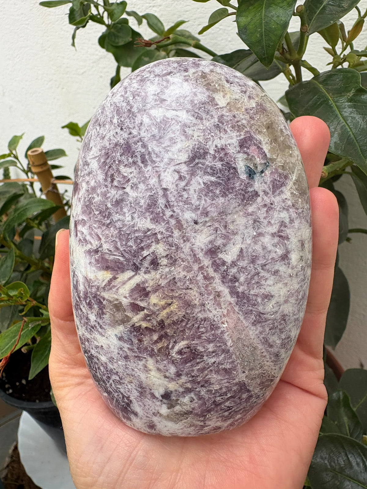 Monolito de piedra de unicornio con lepidolita, turmalina rosa, cuarzo y cuarzo ahumado. Descubre sus tonos lilas y rosados en La Hada de las Piedras.