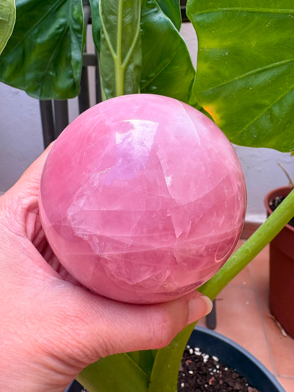 Esfera de cuarzo rosa natural de excelente calidad y precioso color, con 7 cm de diámetro. Una pieza única, ideal para decoración, meditación, coleccionismo o como regalo especial. Descúbrela en La Hada de las Piedras.