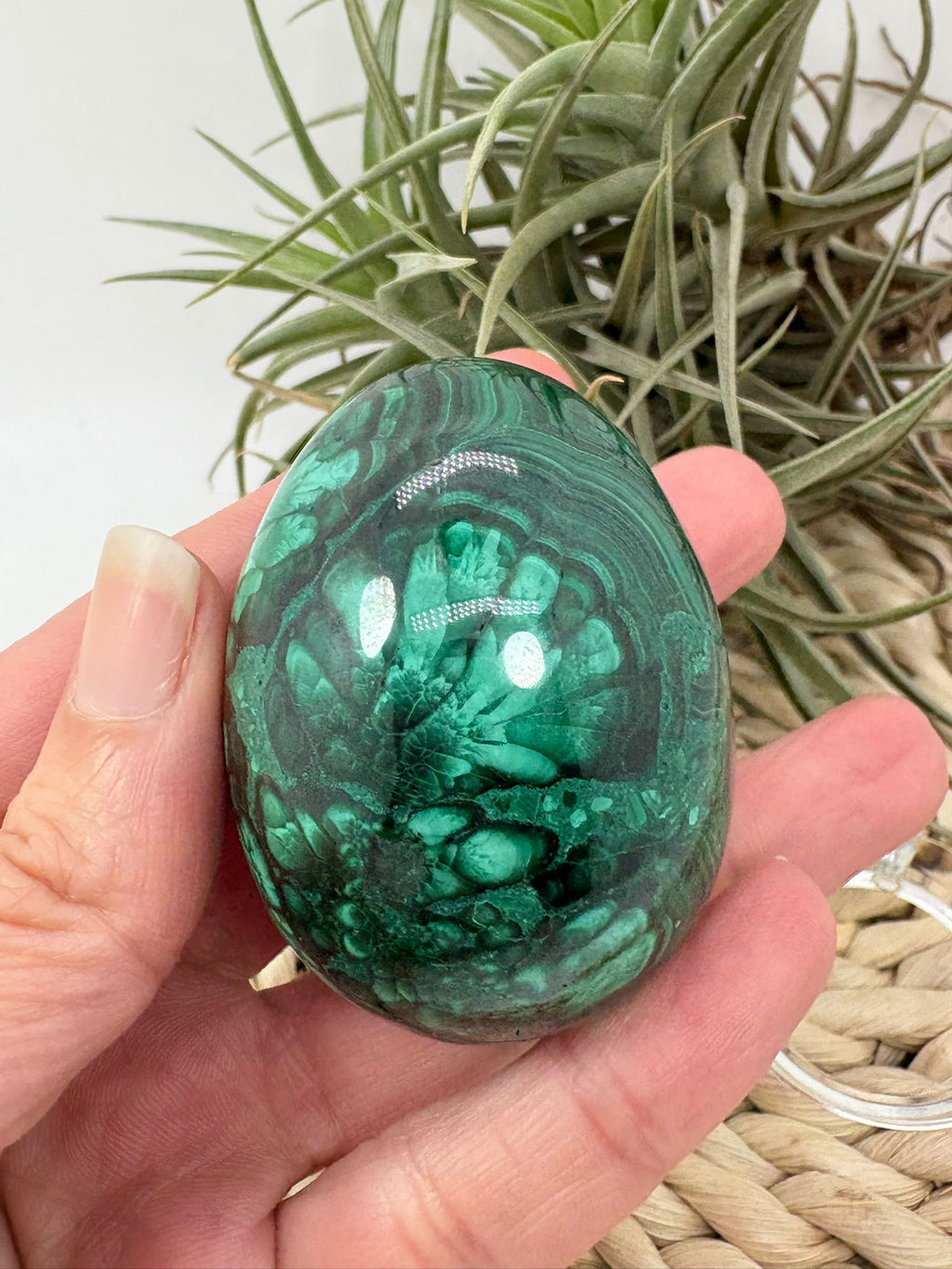 Huevo de malaquita fibrosa pulida con intensos tonos verdes y patrón natural único. Piedra de protección, transformación y energía profunda.
