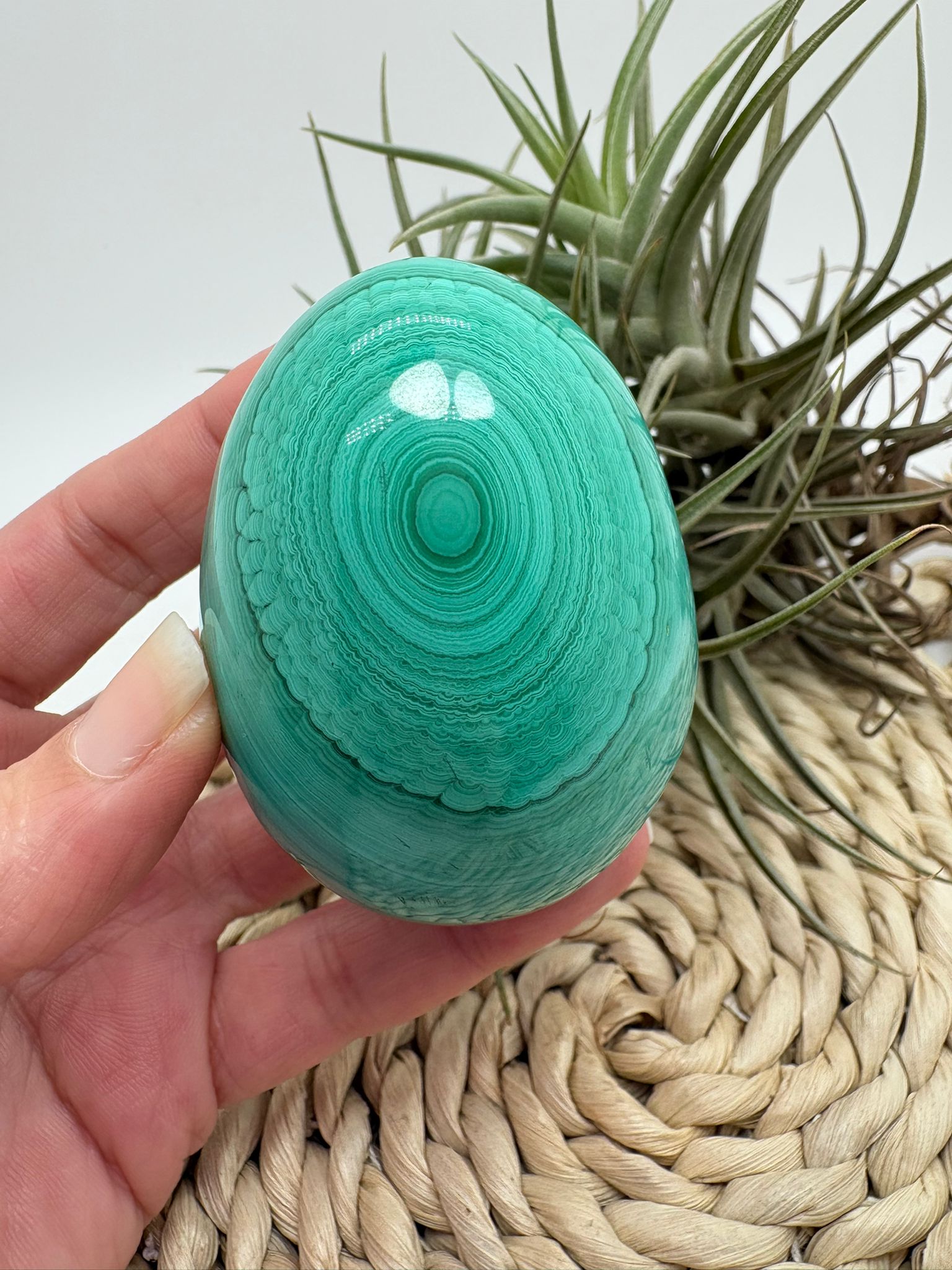 Huevo de malaquita fibrosa pulida con intensos tonos verdes y patrón natural único. Piedra de protección, transformación y energía profunda.