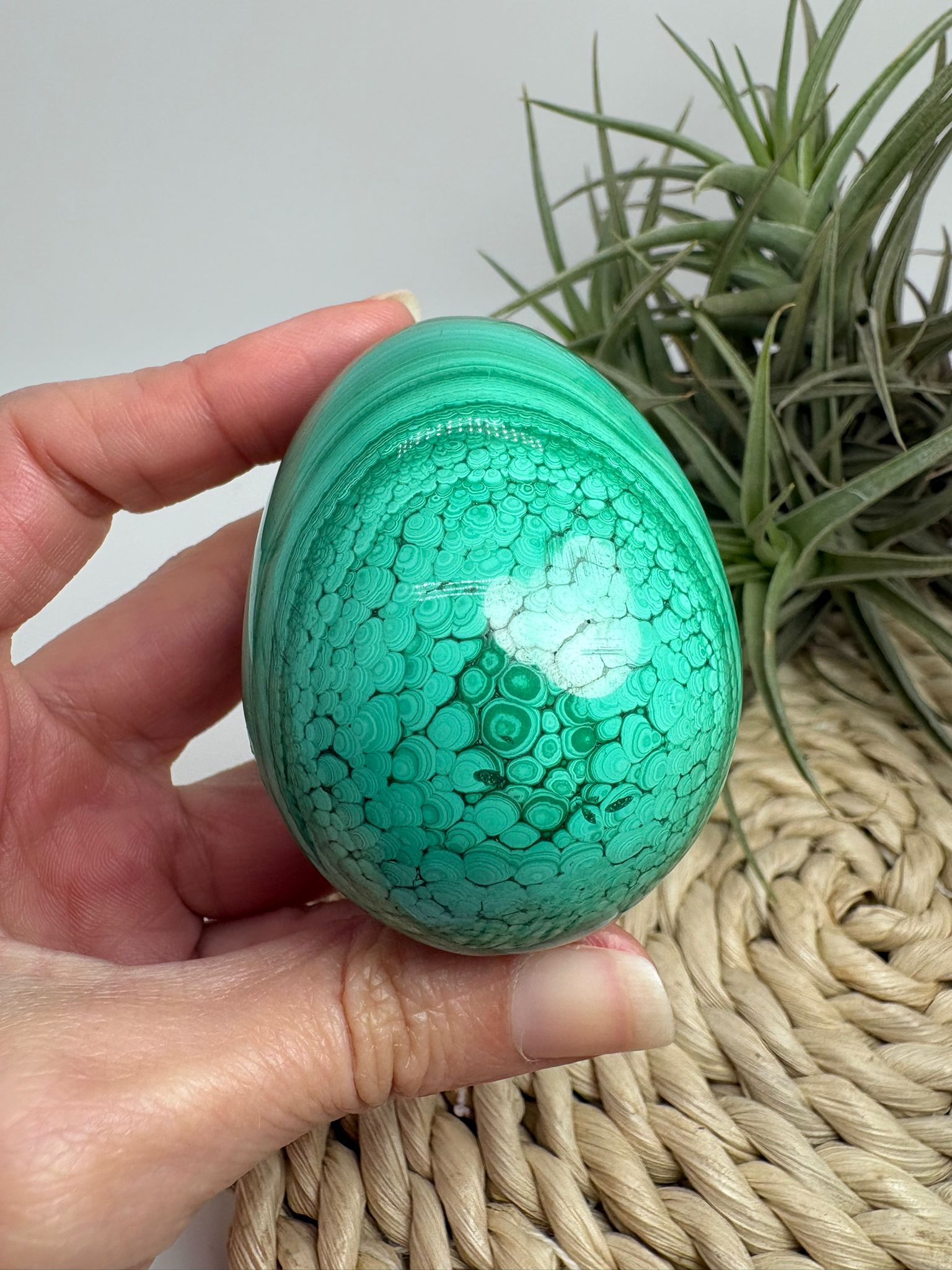 Huevo de malaquita fibrosa pulida con intensos tonos verdes y patrón natural único. Piedra de protección, transformación y energía profunda.