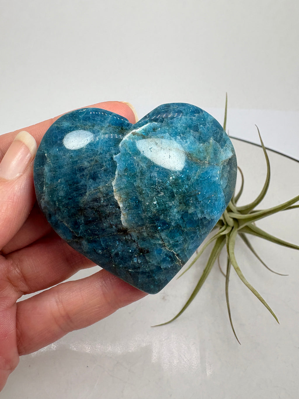 &nbsp;Corazón de apatito azul pulido de gran belleza, con tonos intensos y vetas naturales que hacen cada pieza única.

Ideal para aportar color y energía a cualquier espacio o llevar contigo.